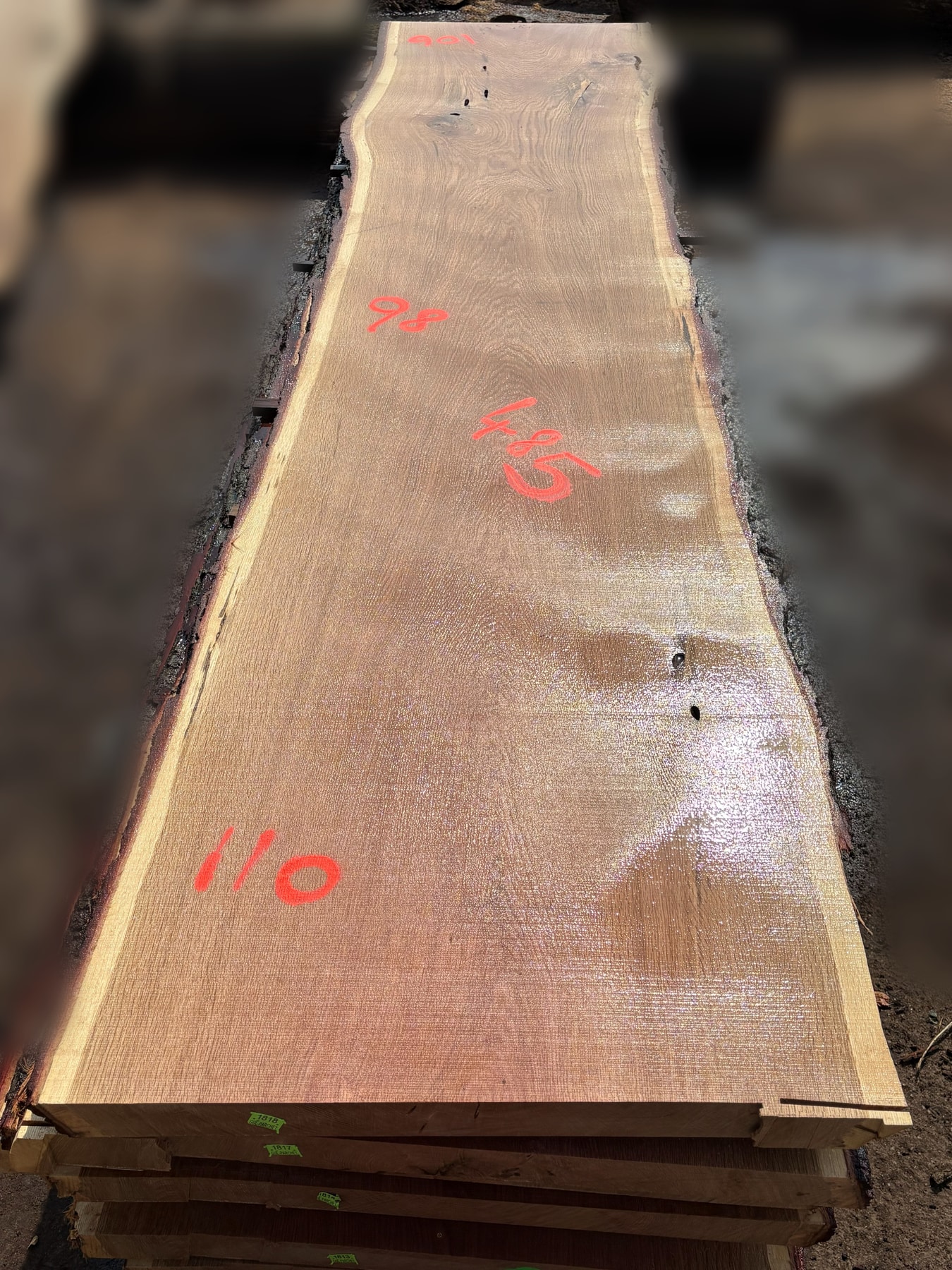 Oak - P5-1818