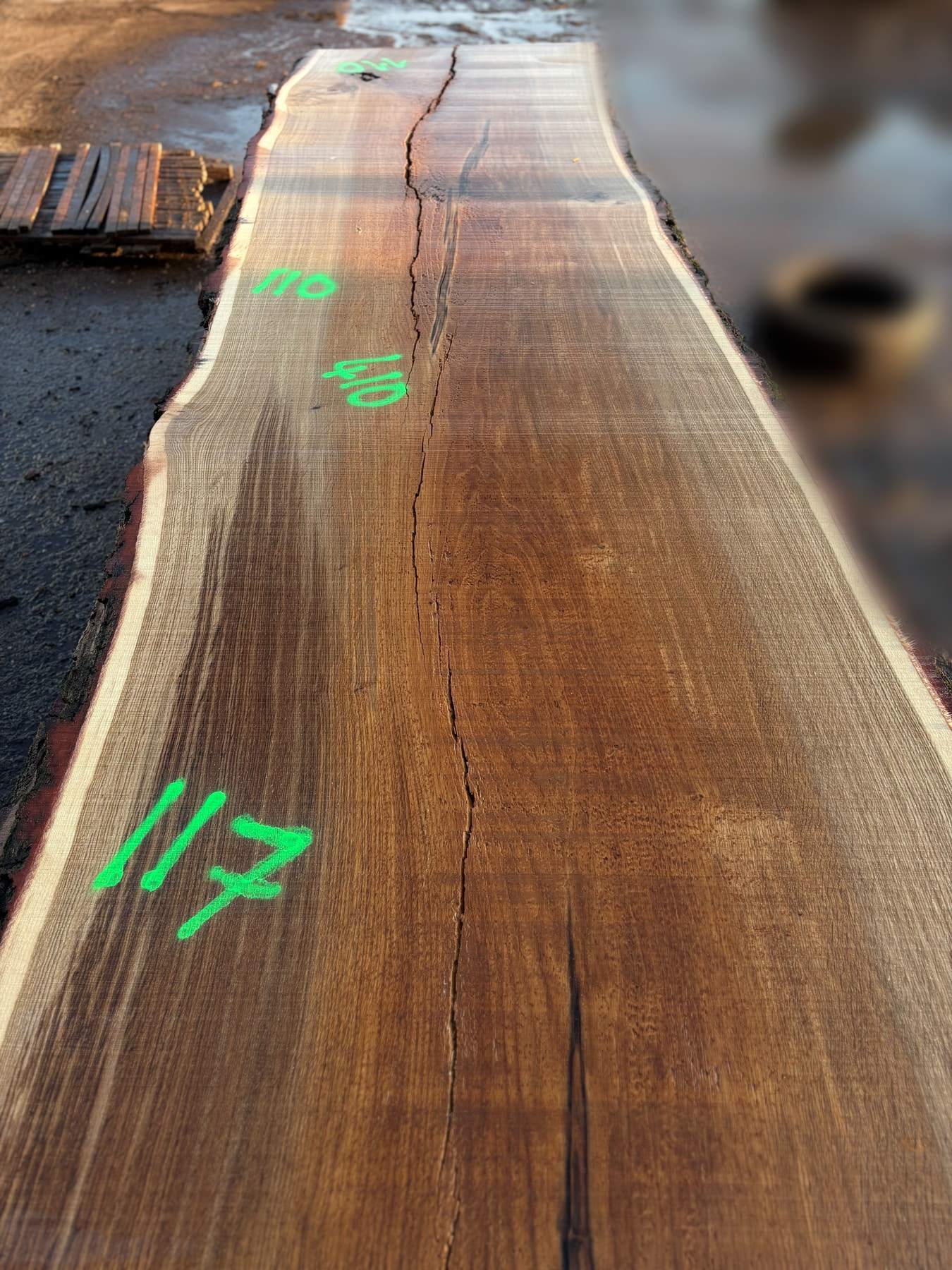Oak - P2-817
