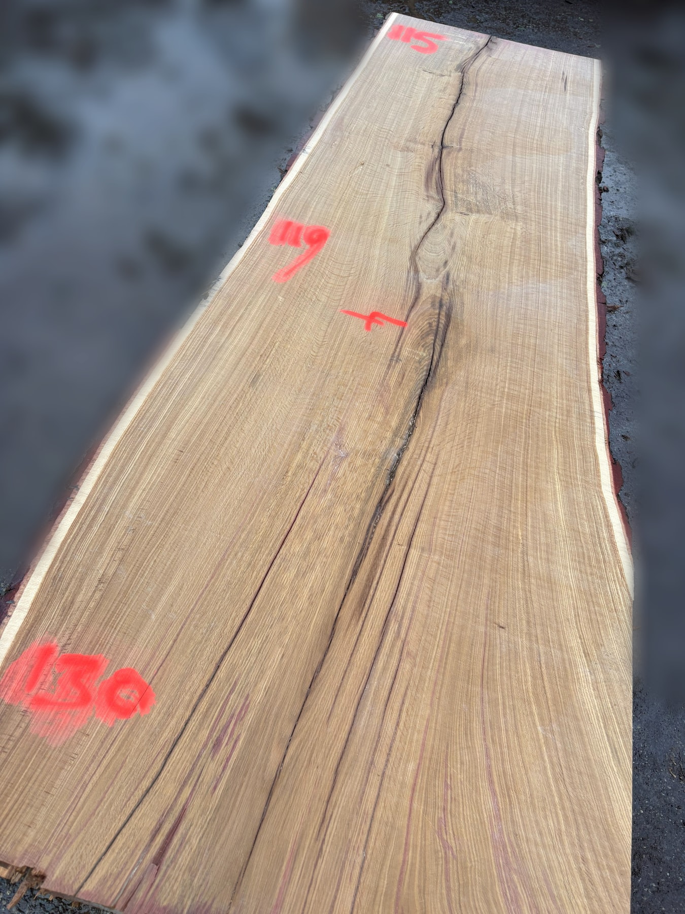 Oak - P9-1937