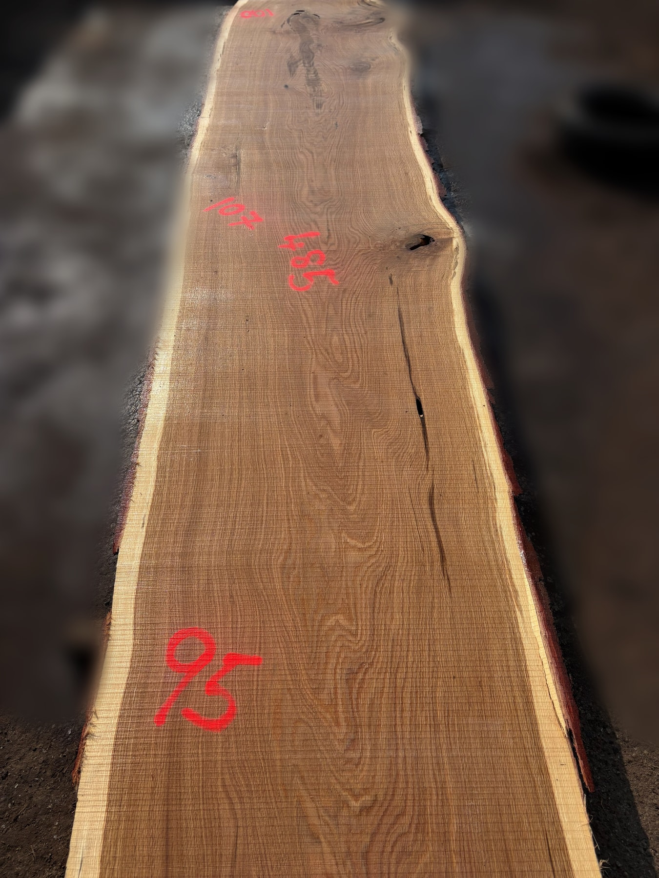 Oak - P5-1810