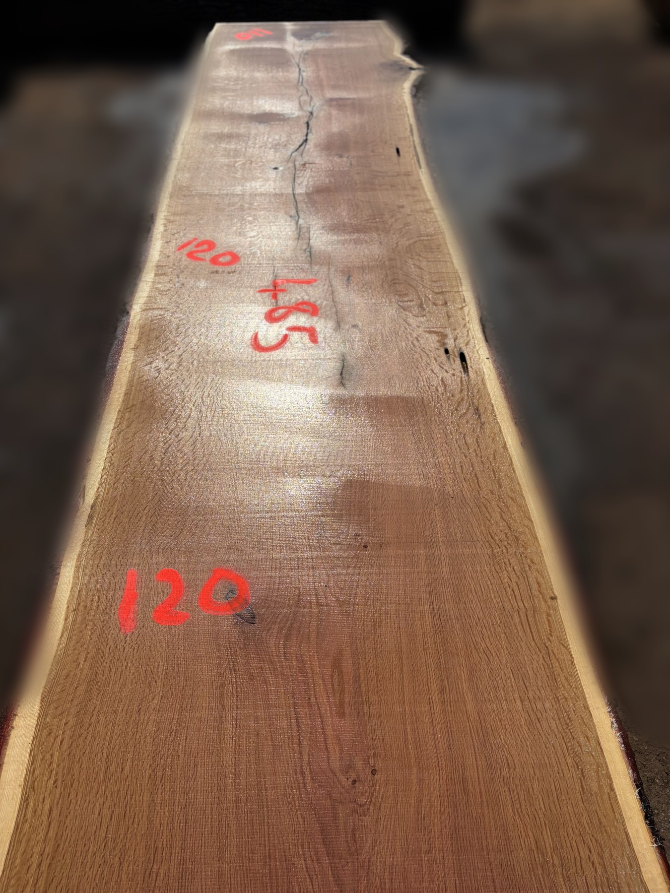 Oak - P5-1813