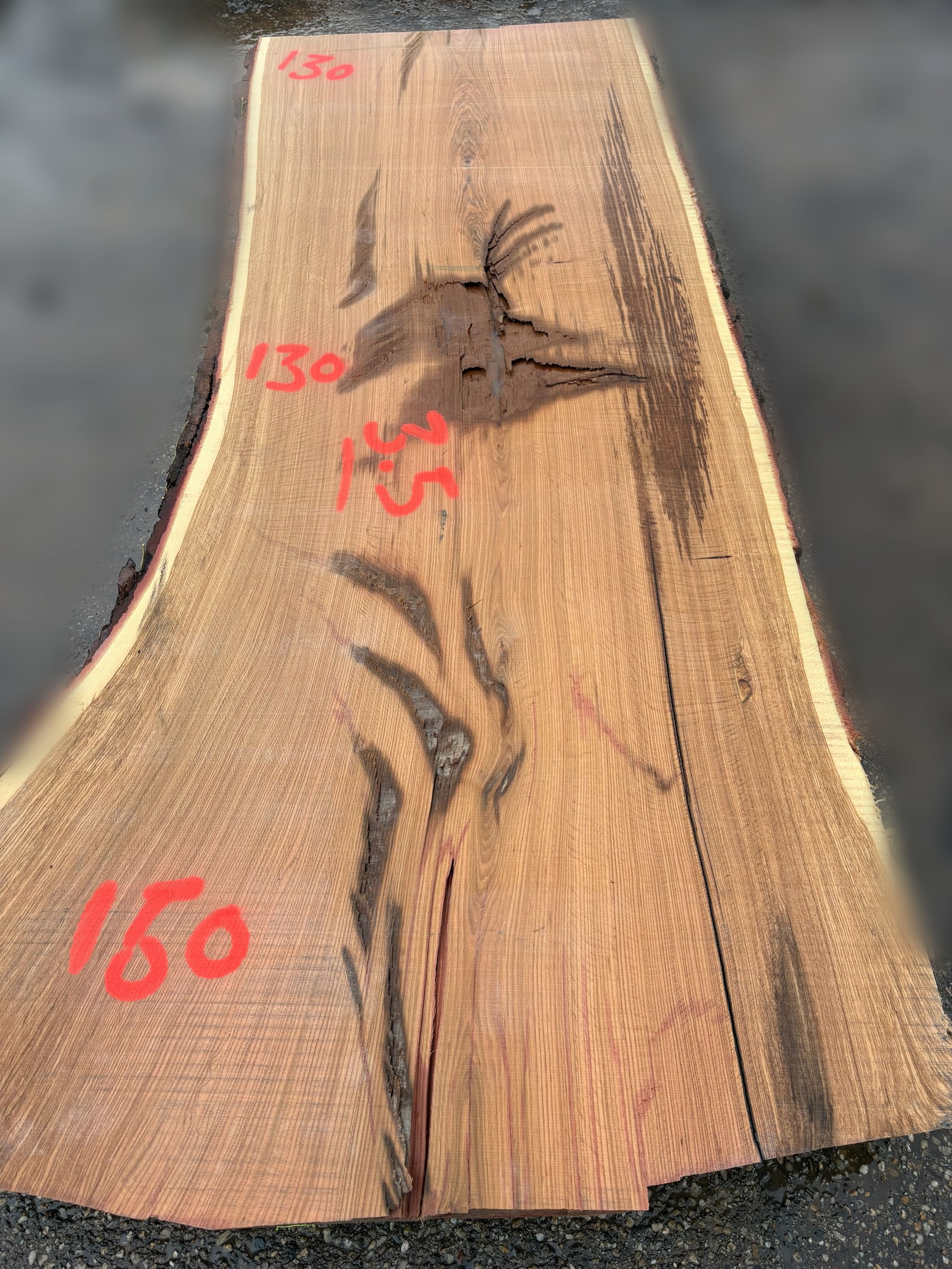 Oak - P8-1927
