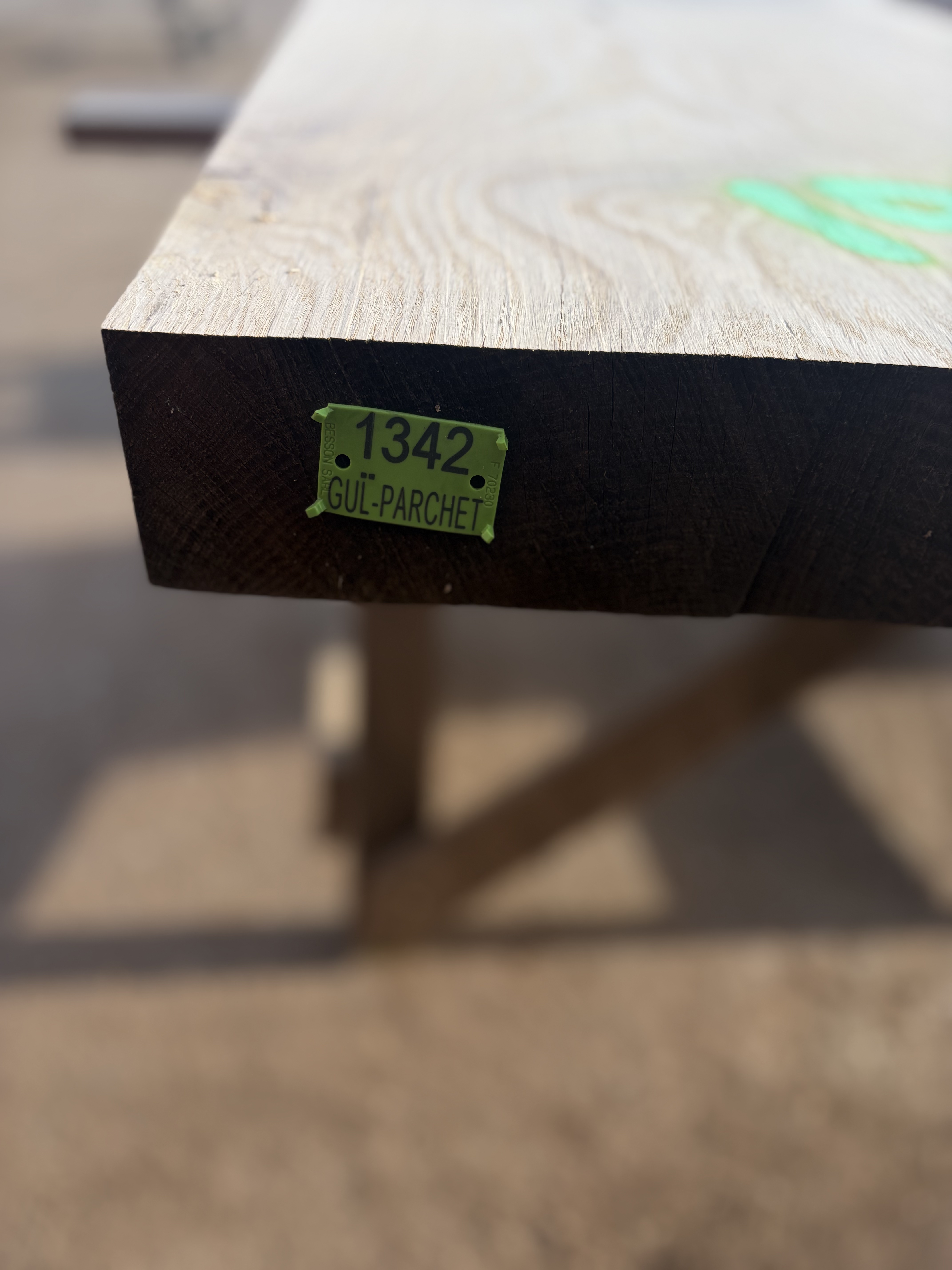 Oak - P6-1342