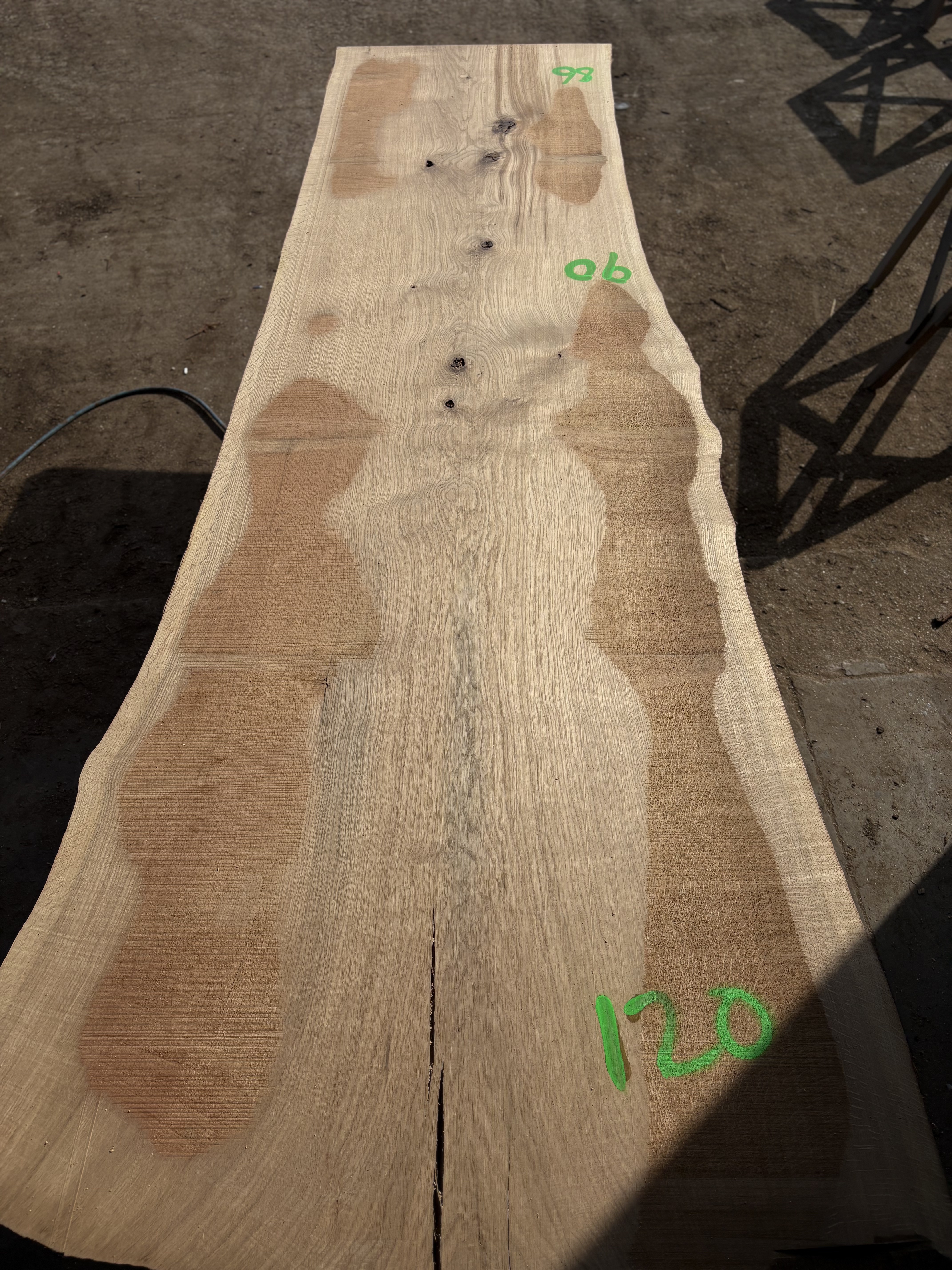 Oak - P2-1412
