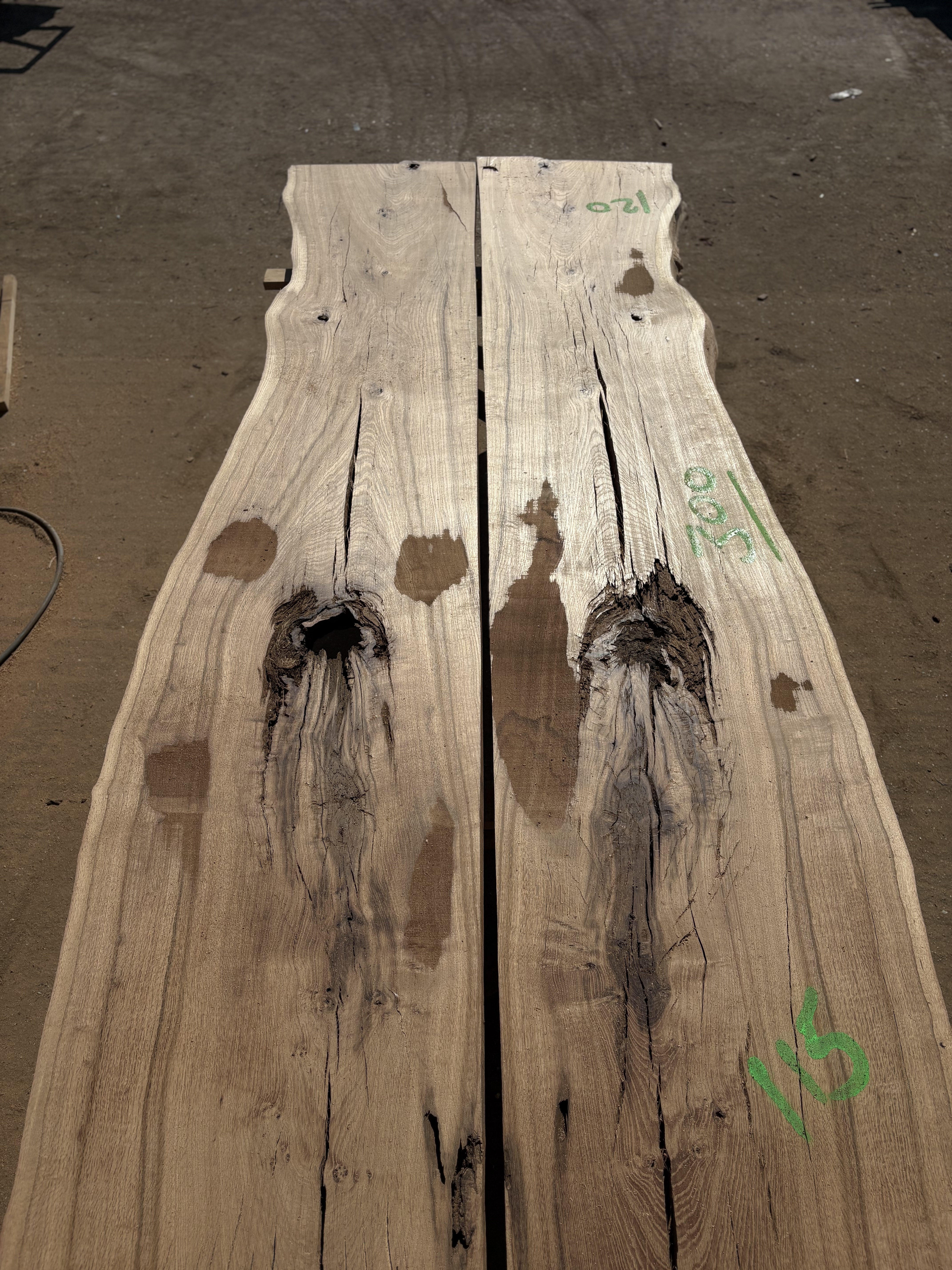 Oak - P11-1294