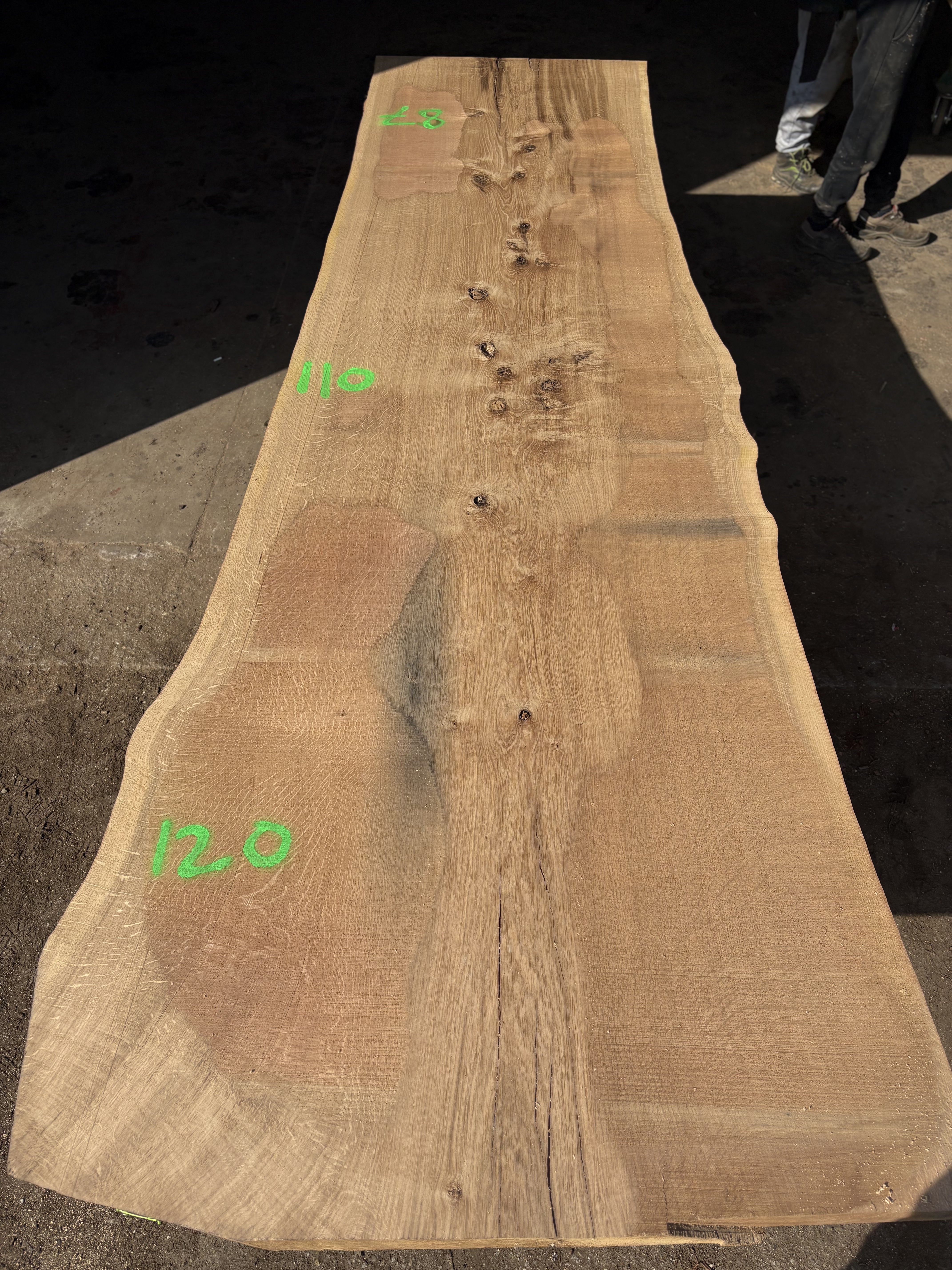Oak - P2-1411