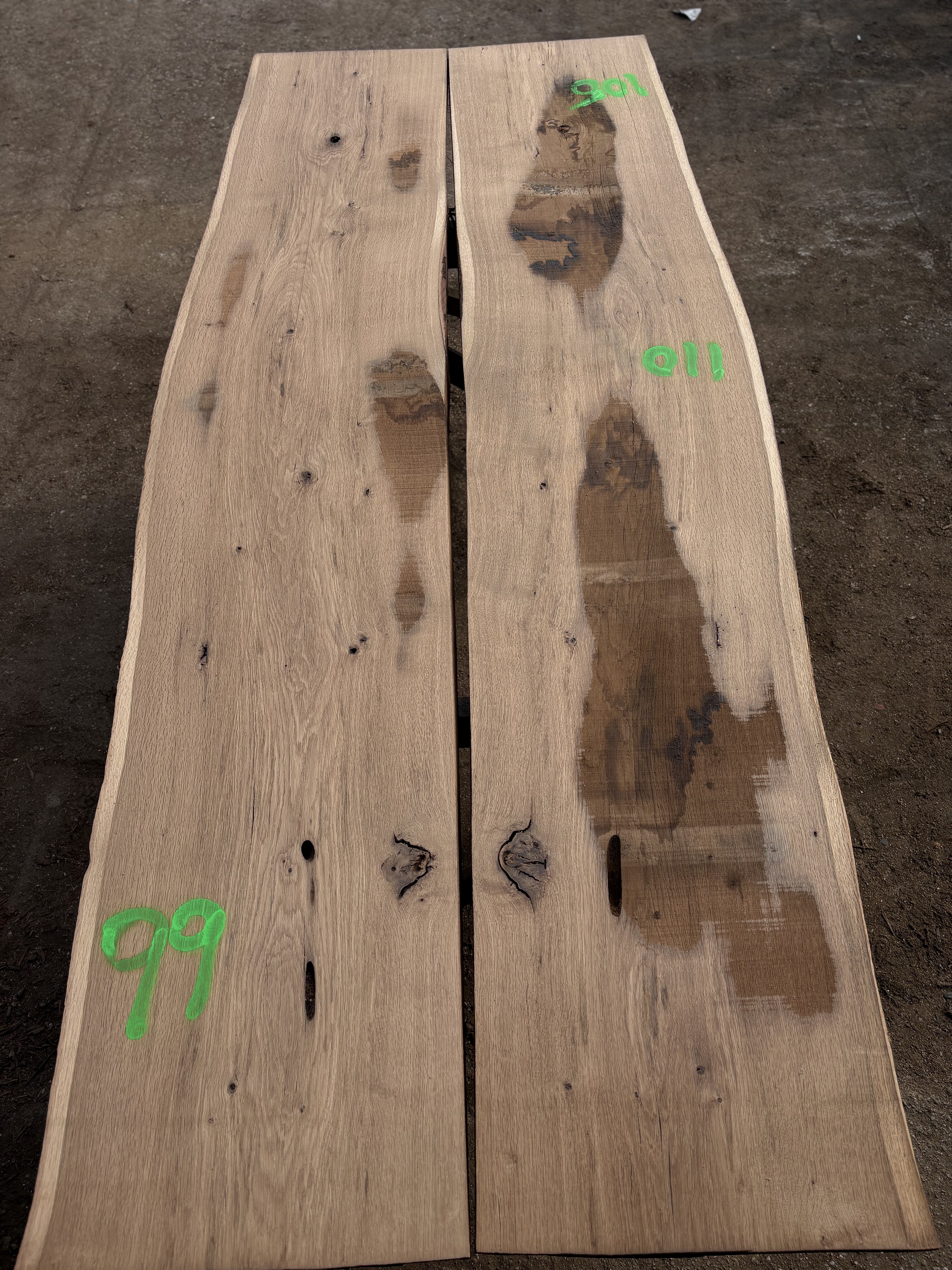 Oak - P1-1415
