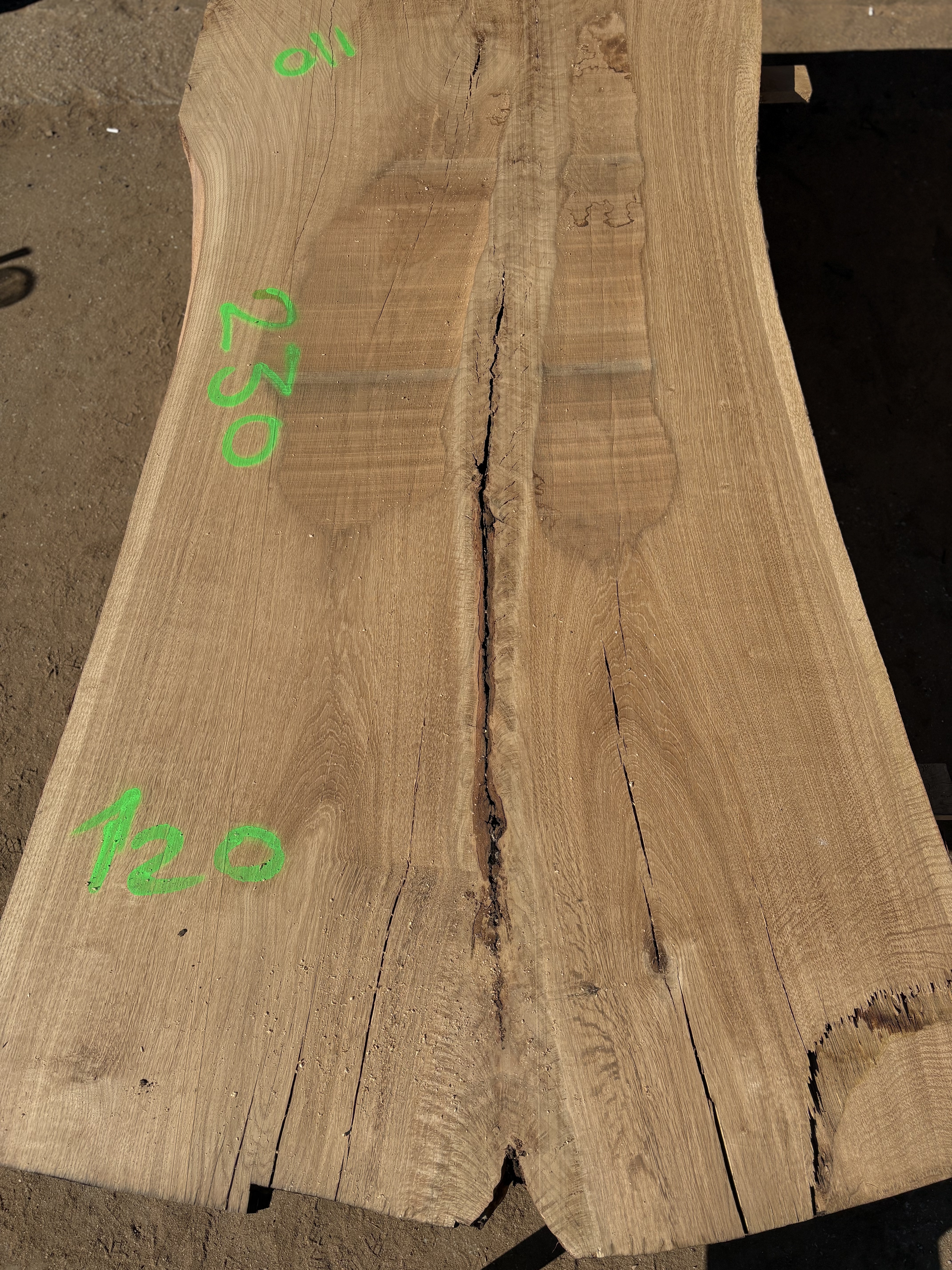 Oak - P3-1666