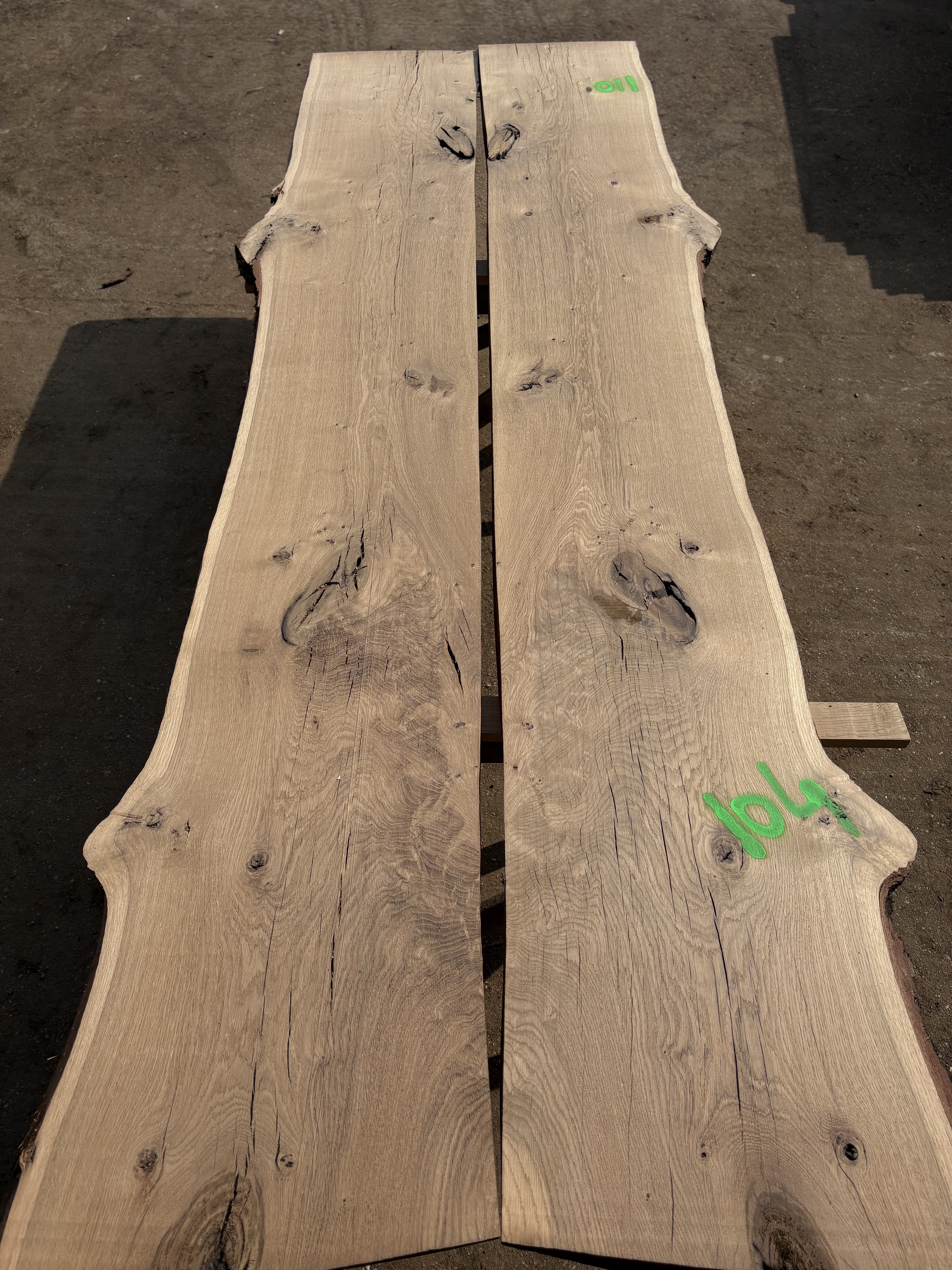 Oak - P3-1428