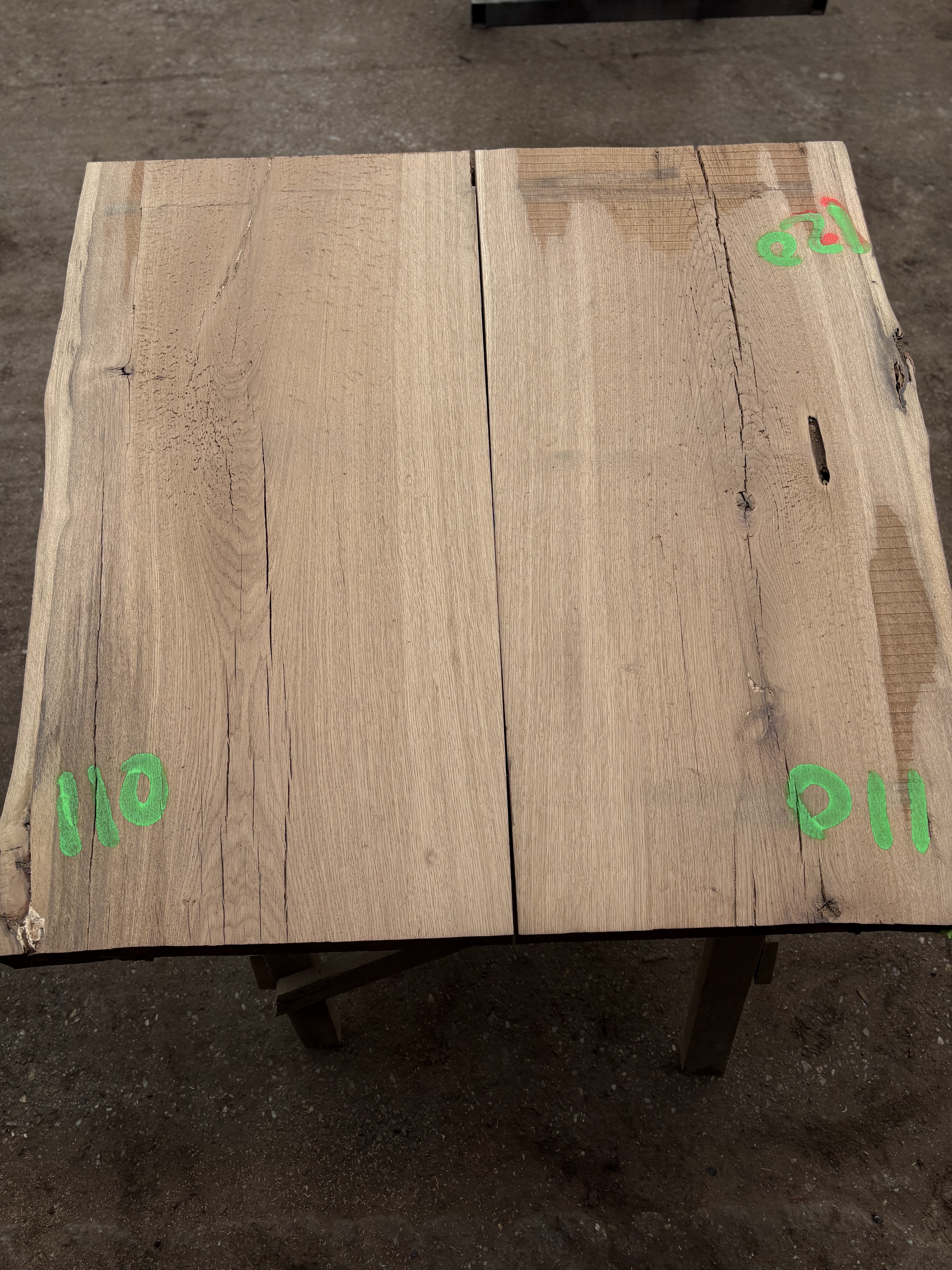 Oak - P2-1421