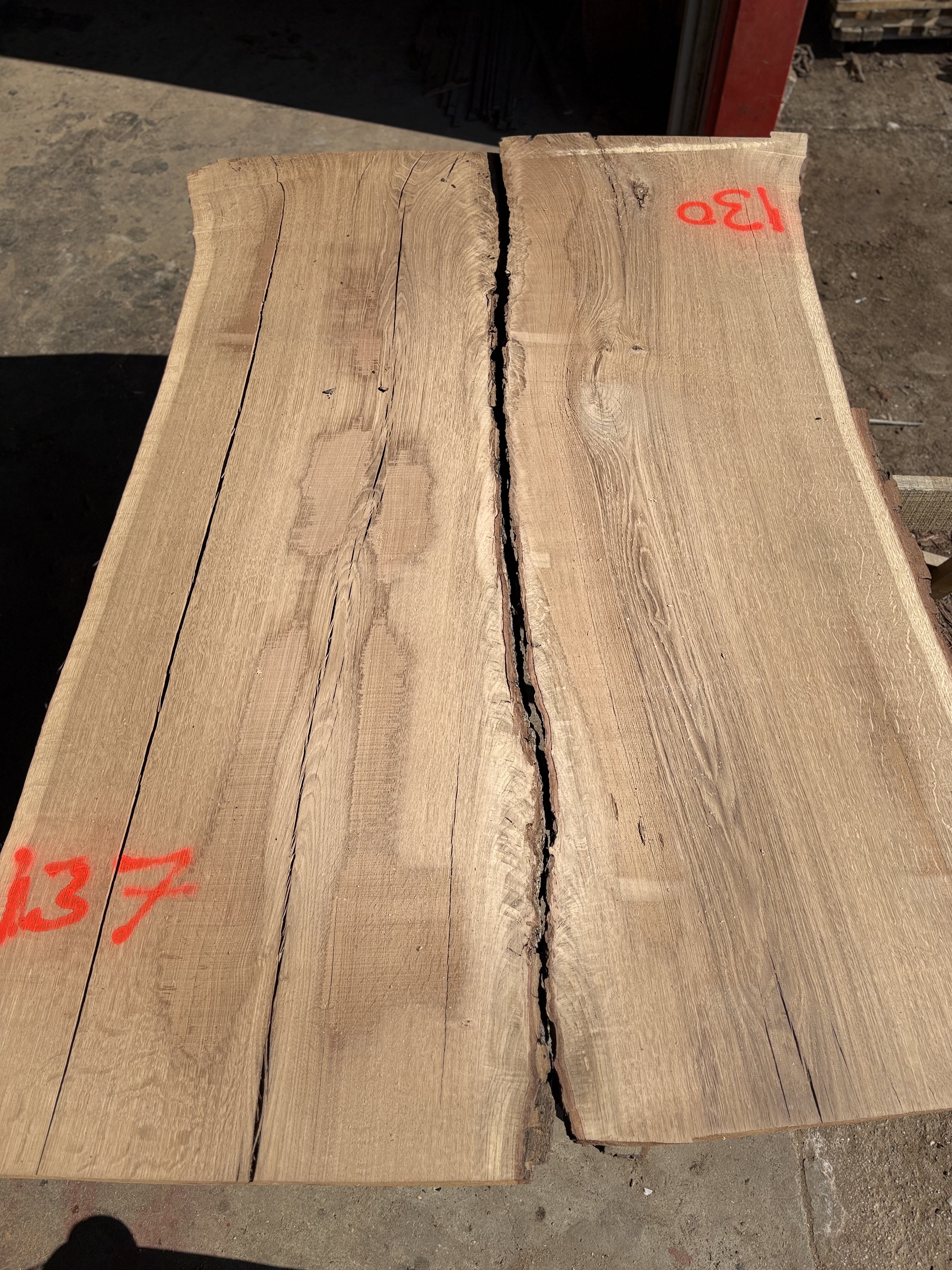 Oak - P1-1406