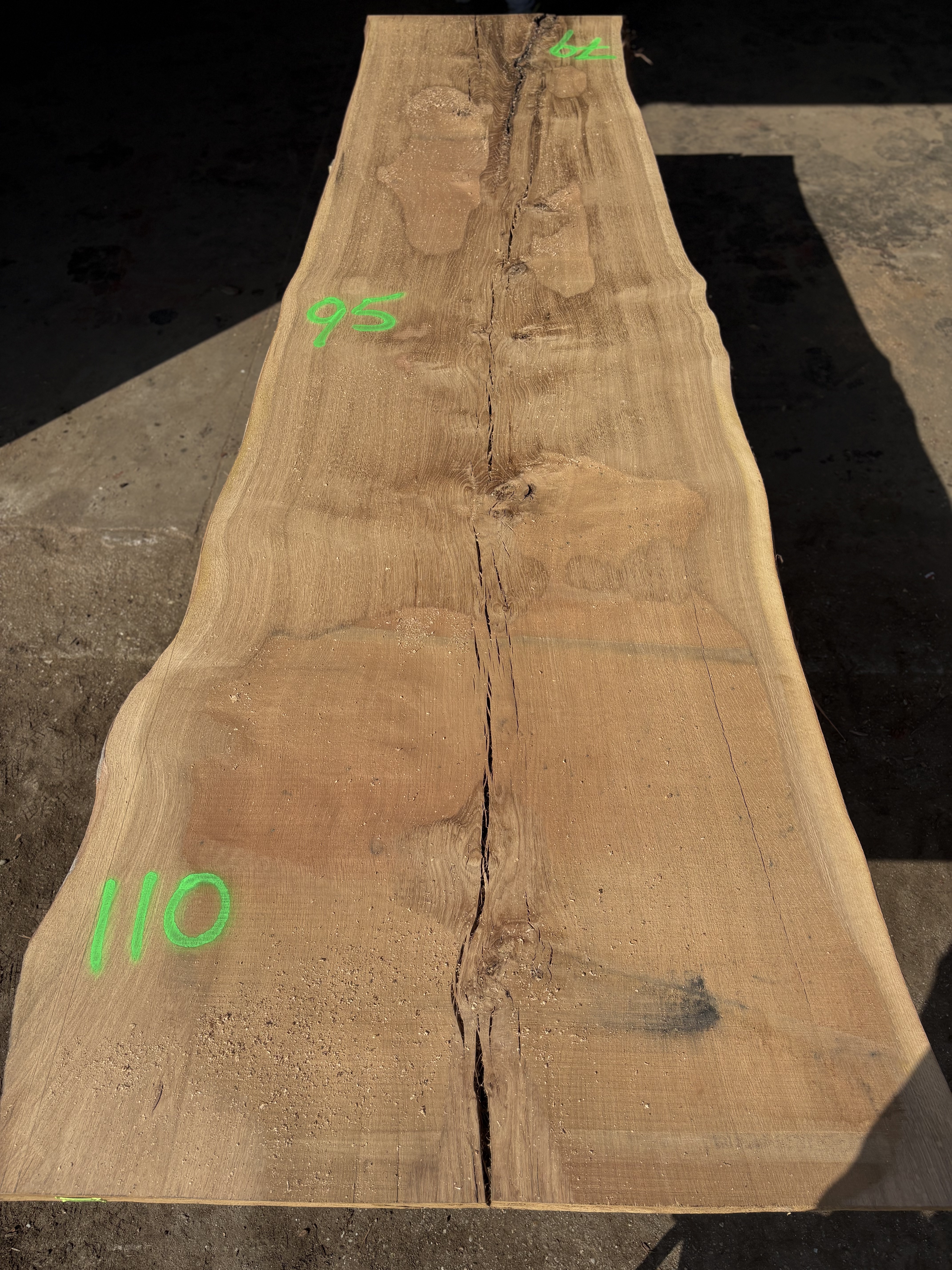 Oak - P2-1409