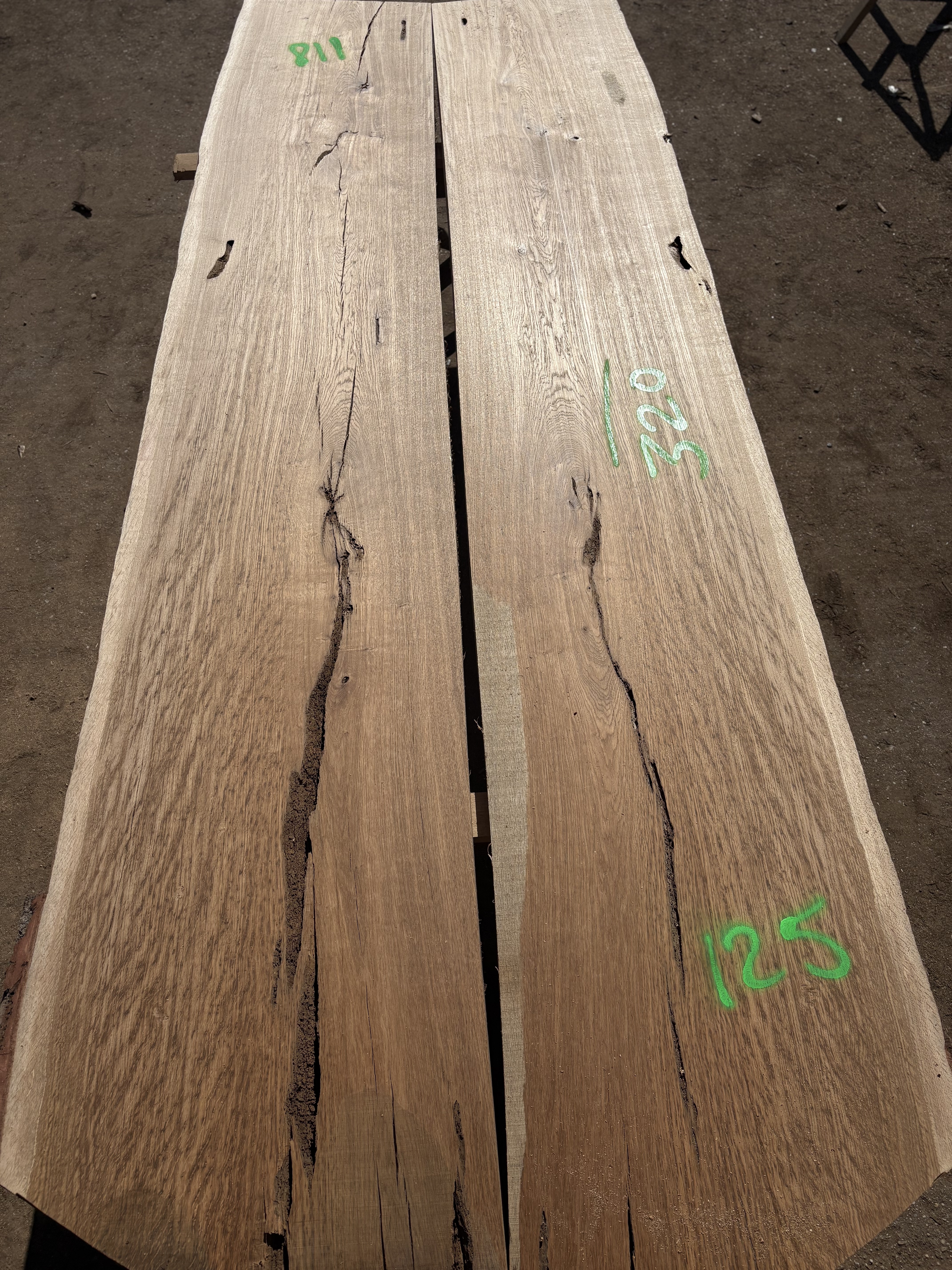 Oak - P10-1288