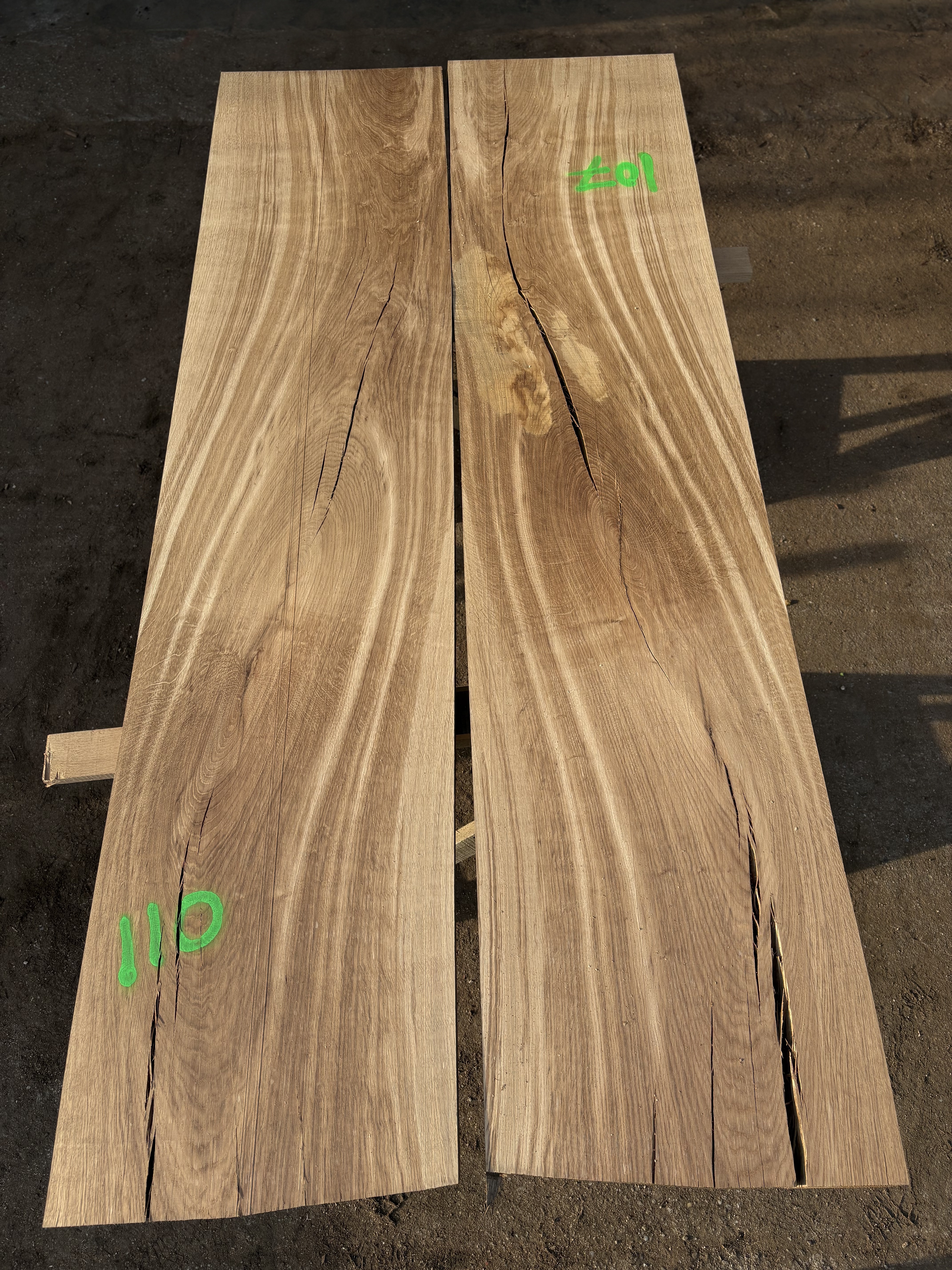 Oak - P6-1343