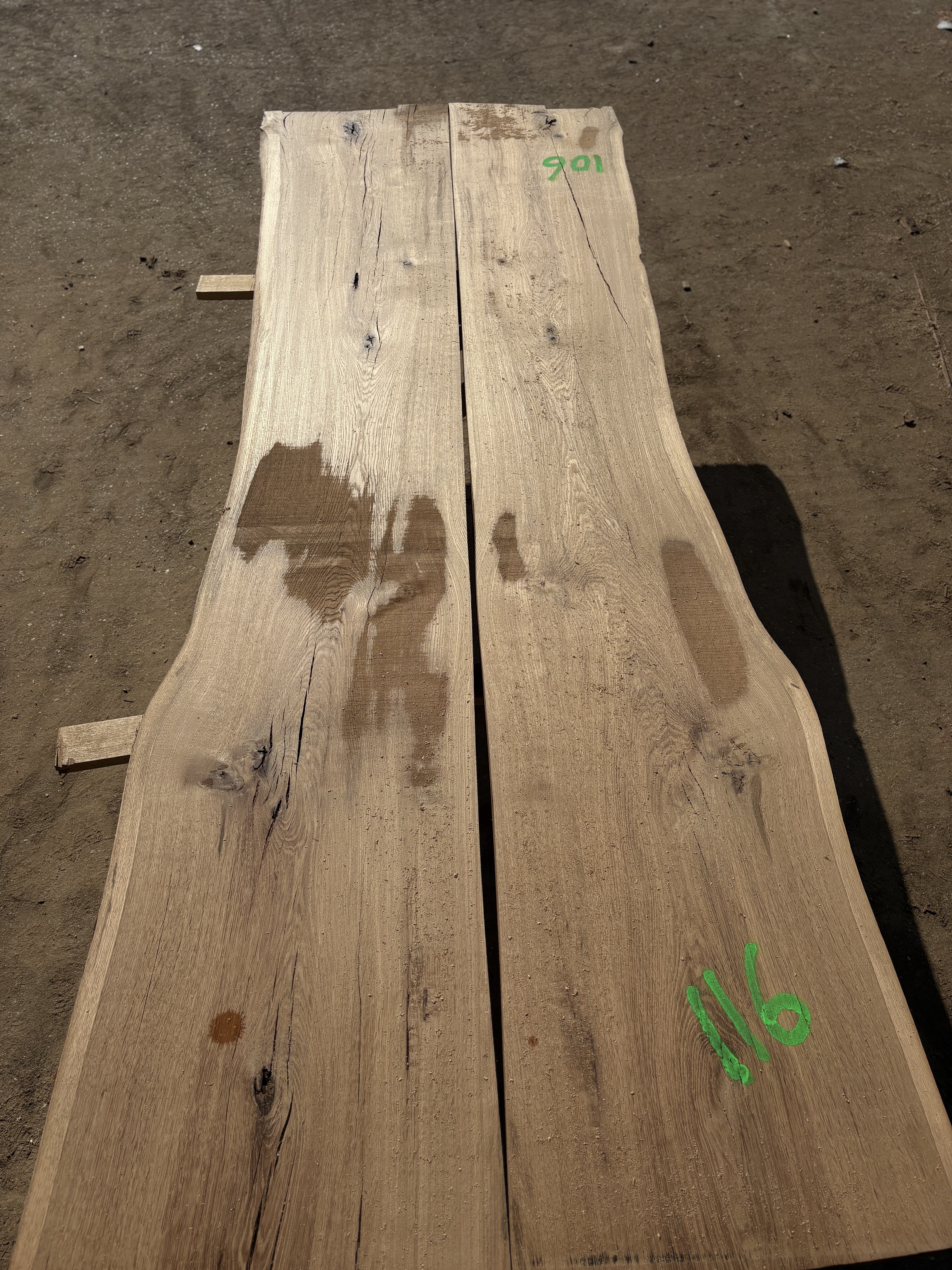 Oak - P9-1358