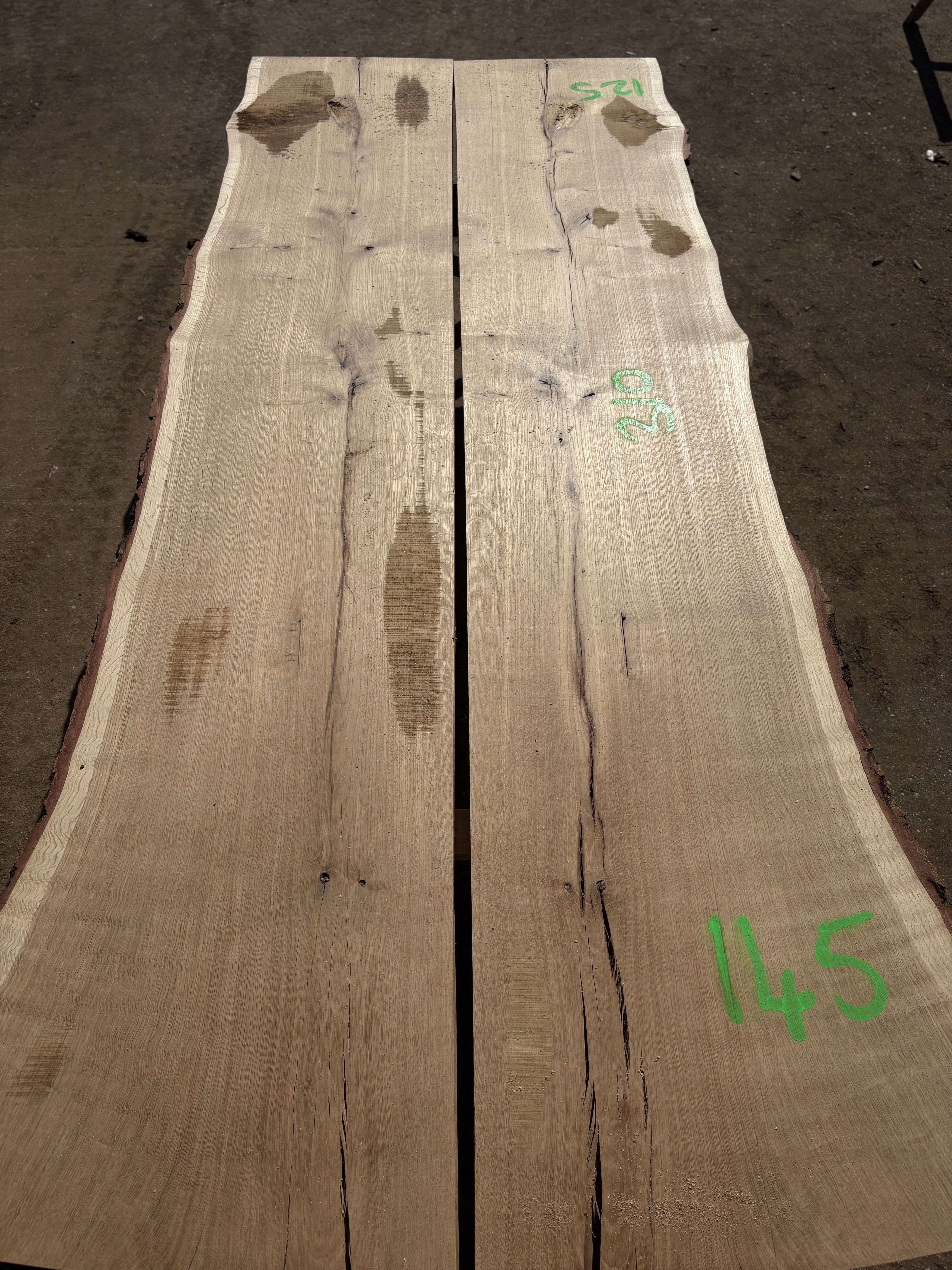 Oak - P10-1290