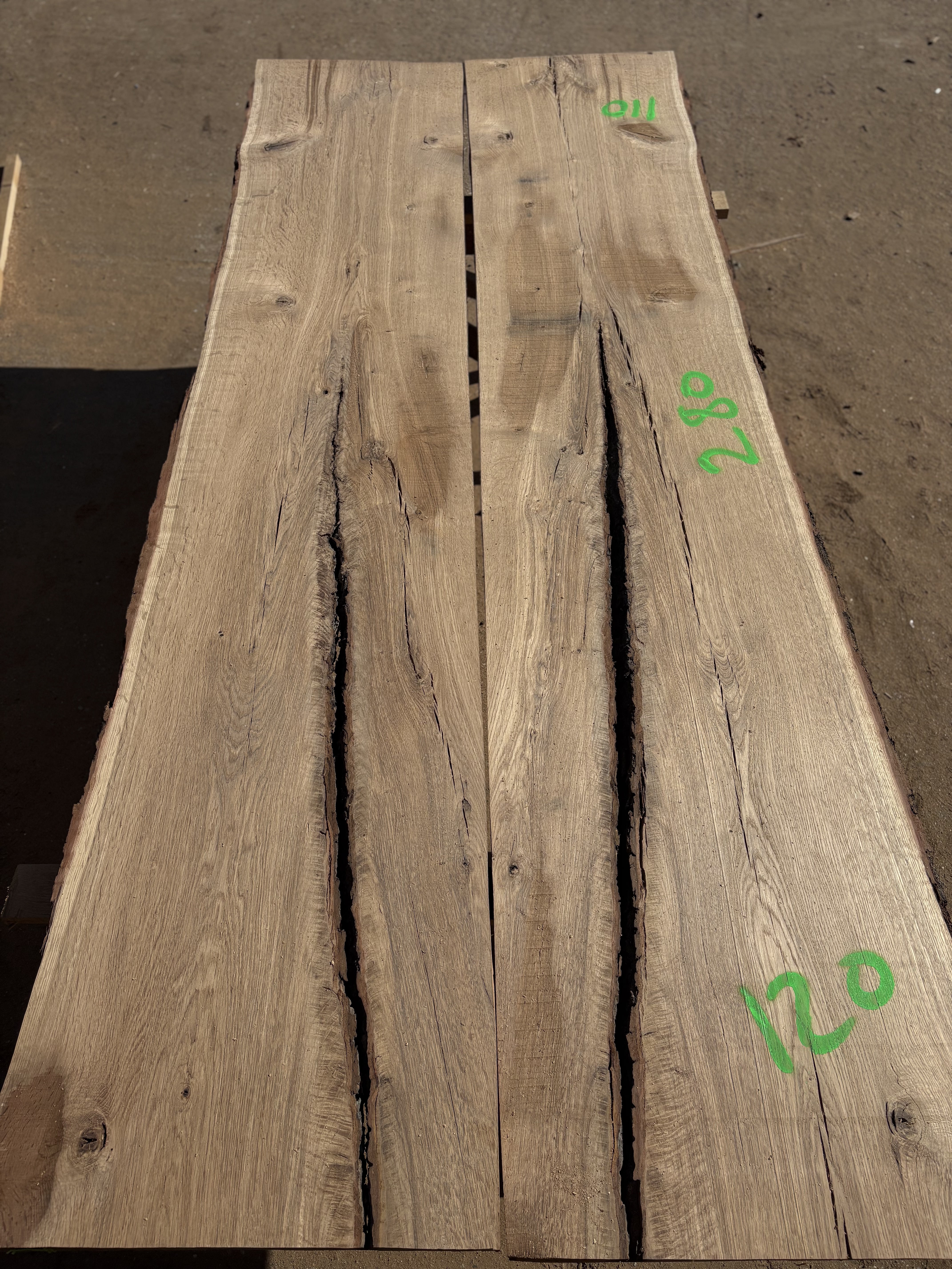 Oak - P12-1302