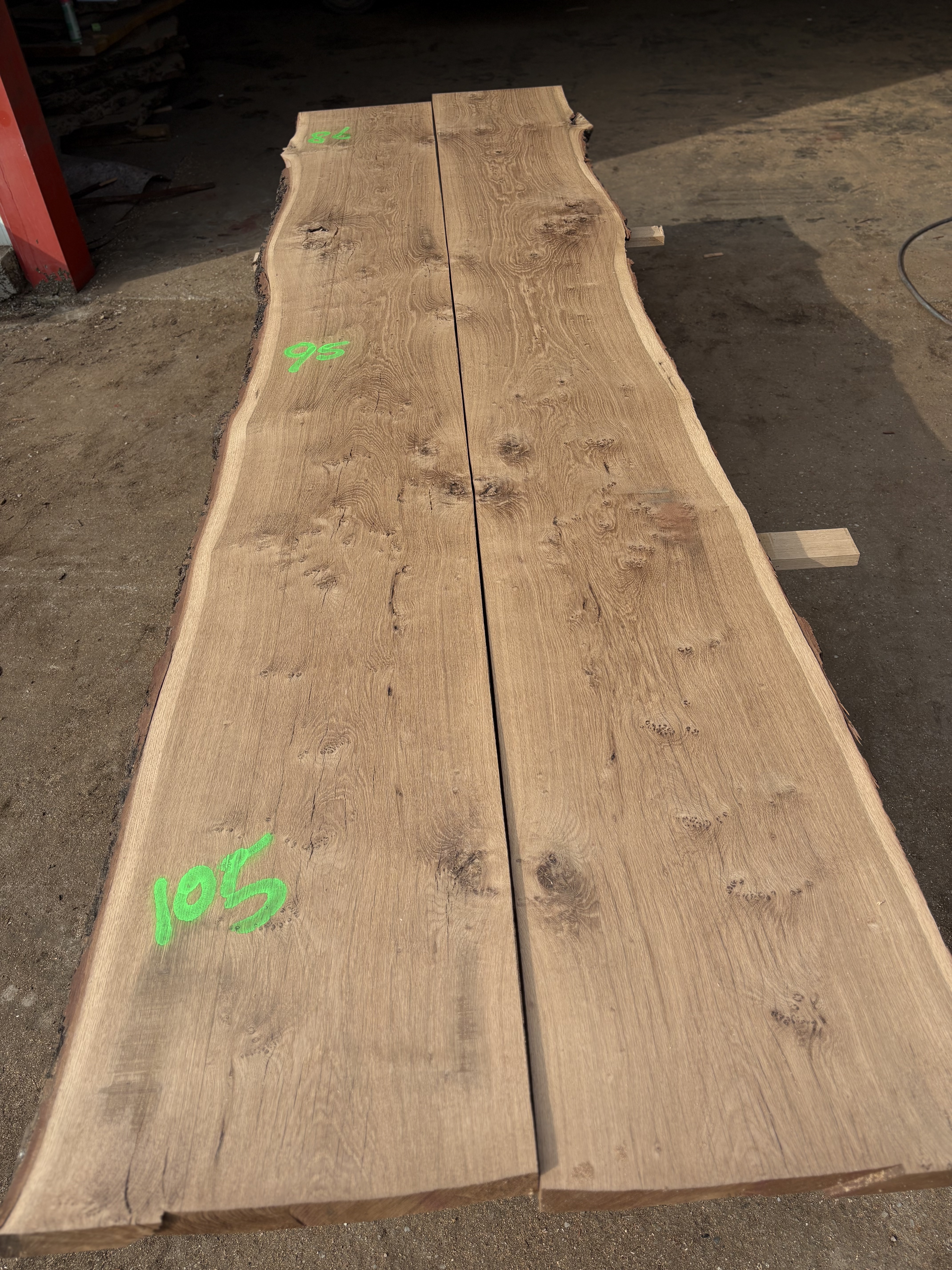 Oak - P3-1429