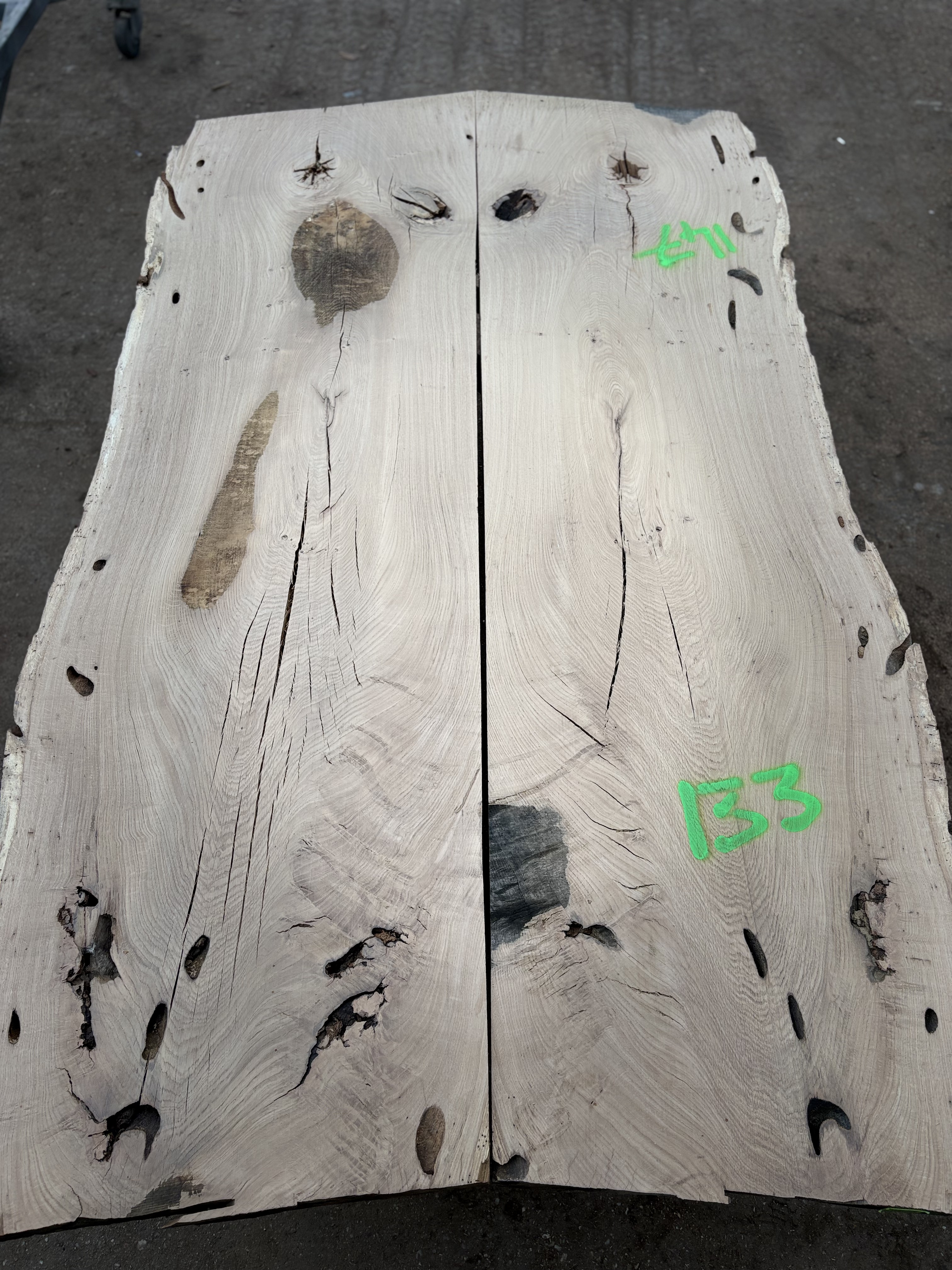Oak - P4-1434