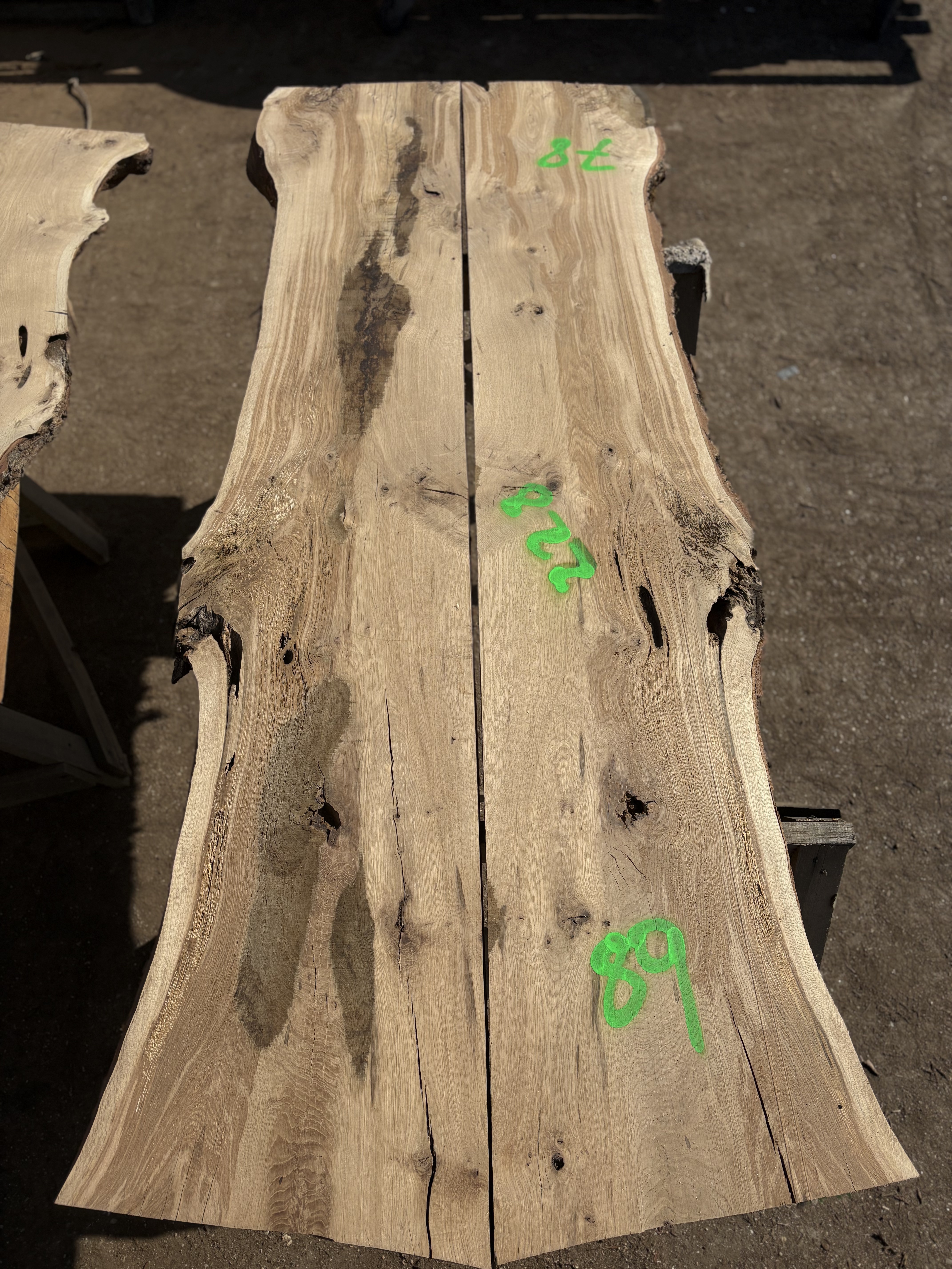 Oak - P8-1352