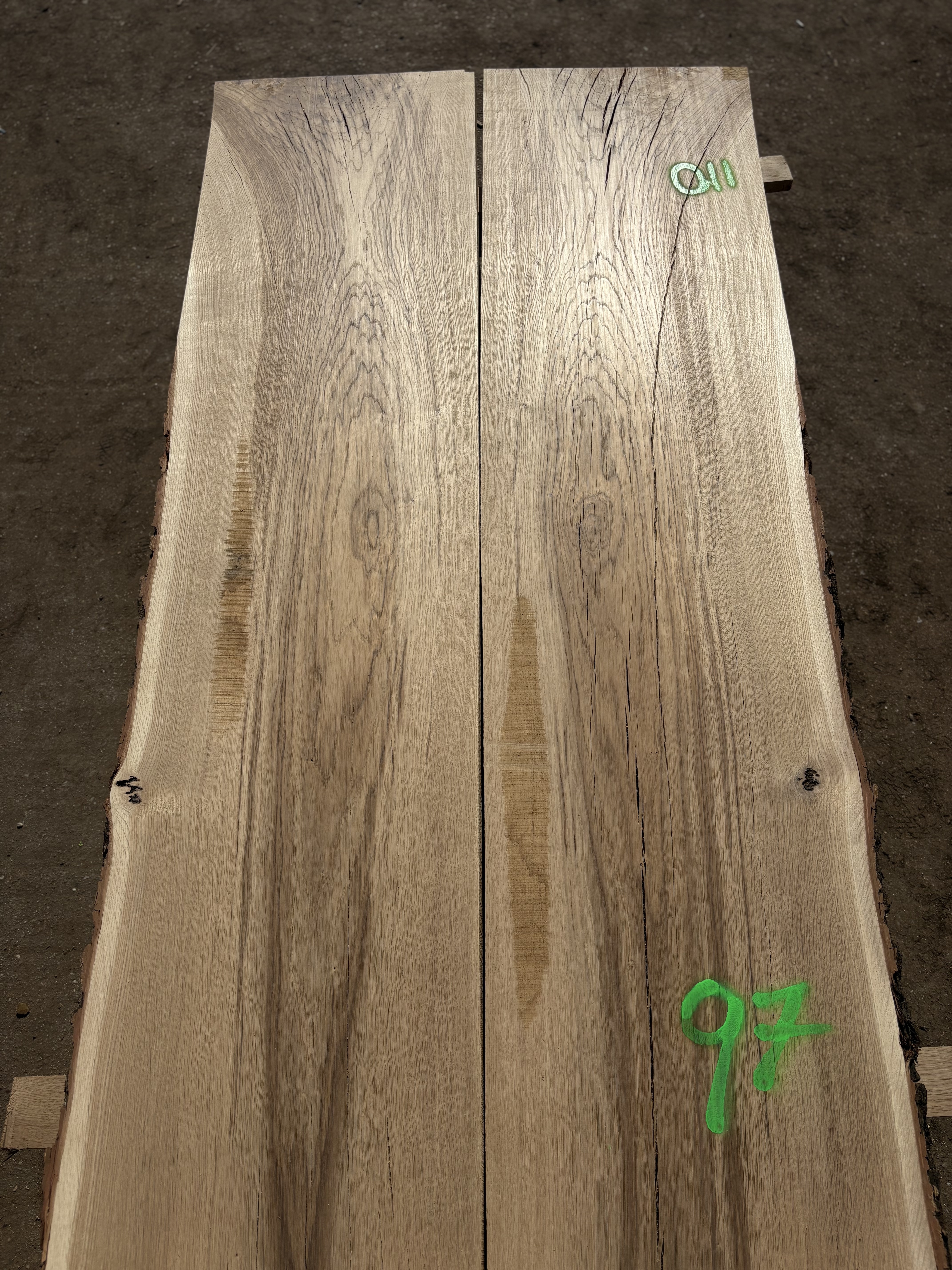 Oak - P5-1331