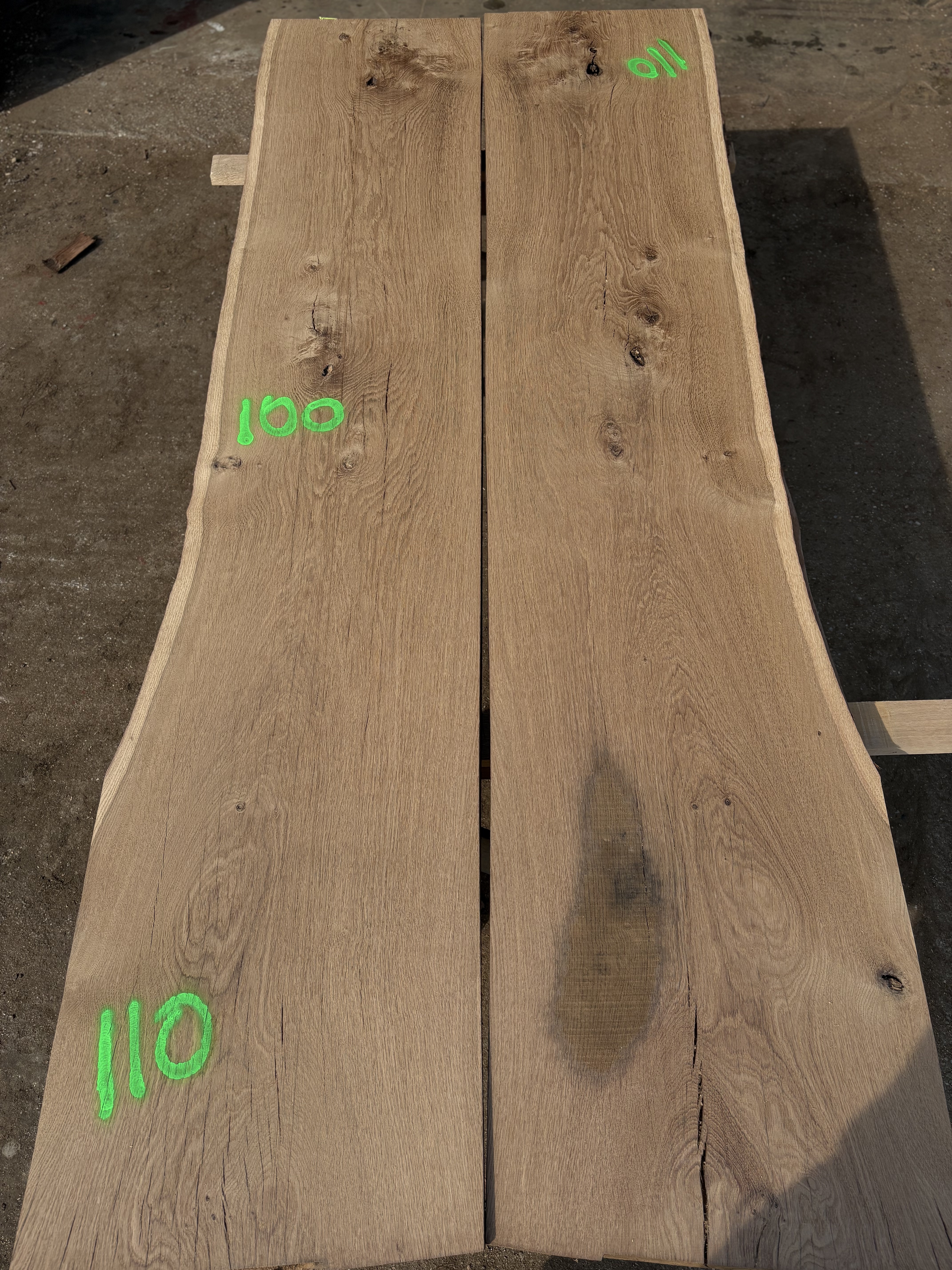Oak - P3-1426