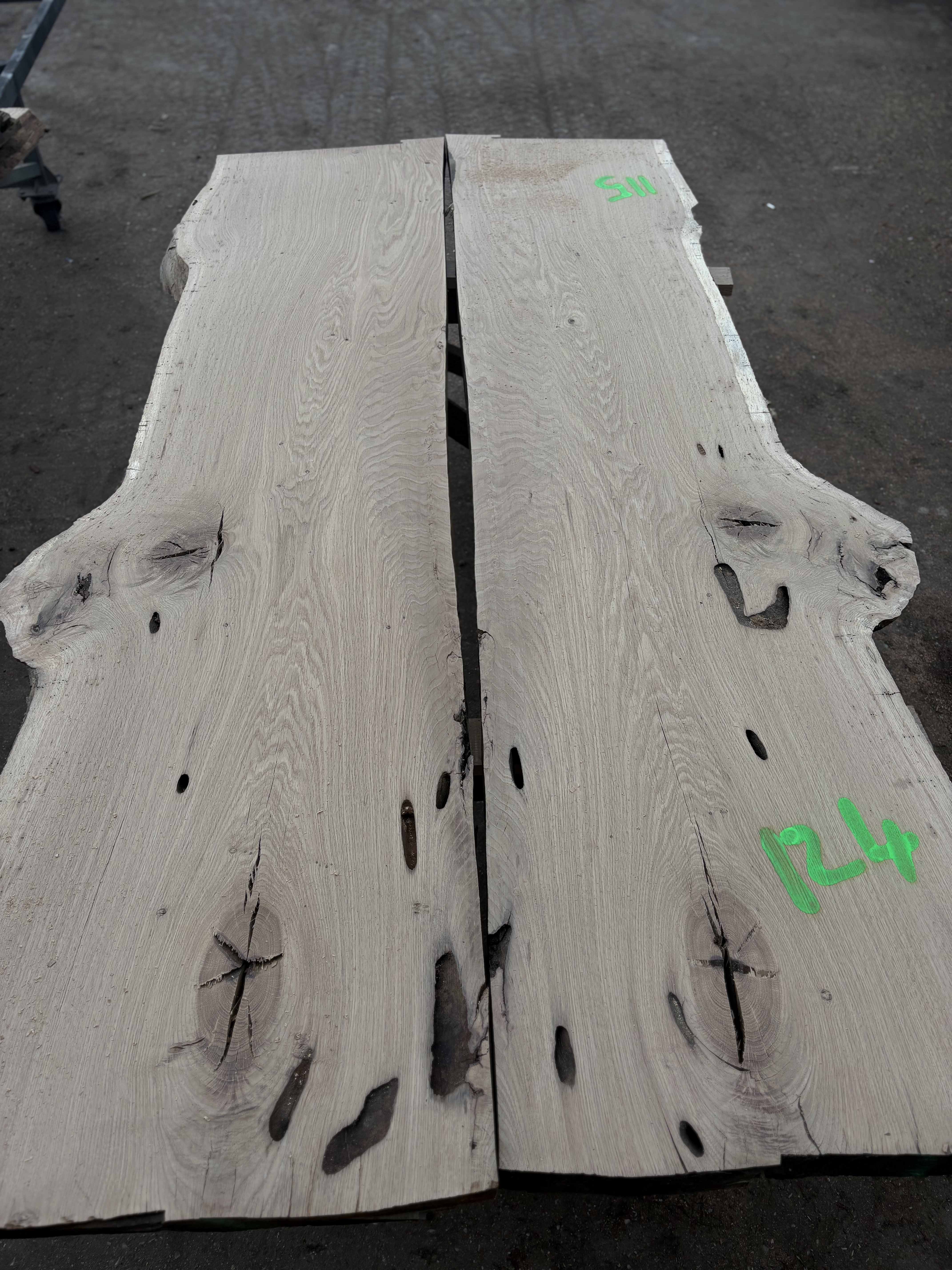 Oak - P4-1433