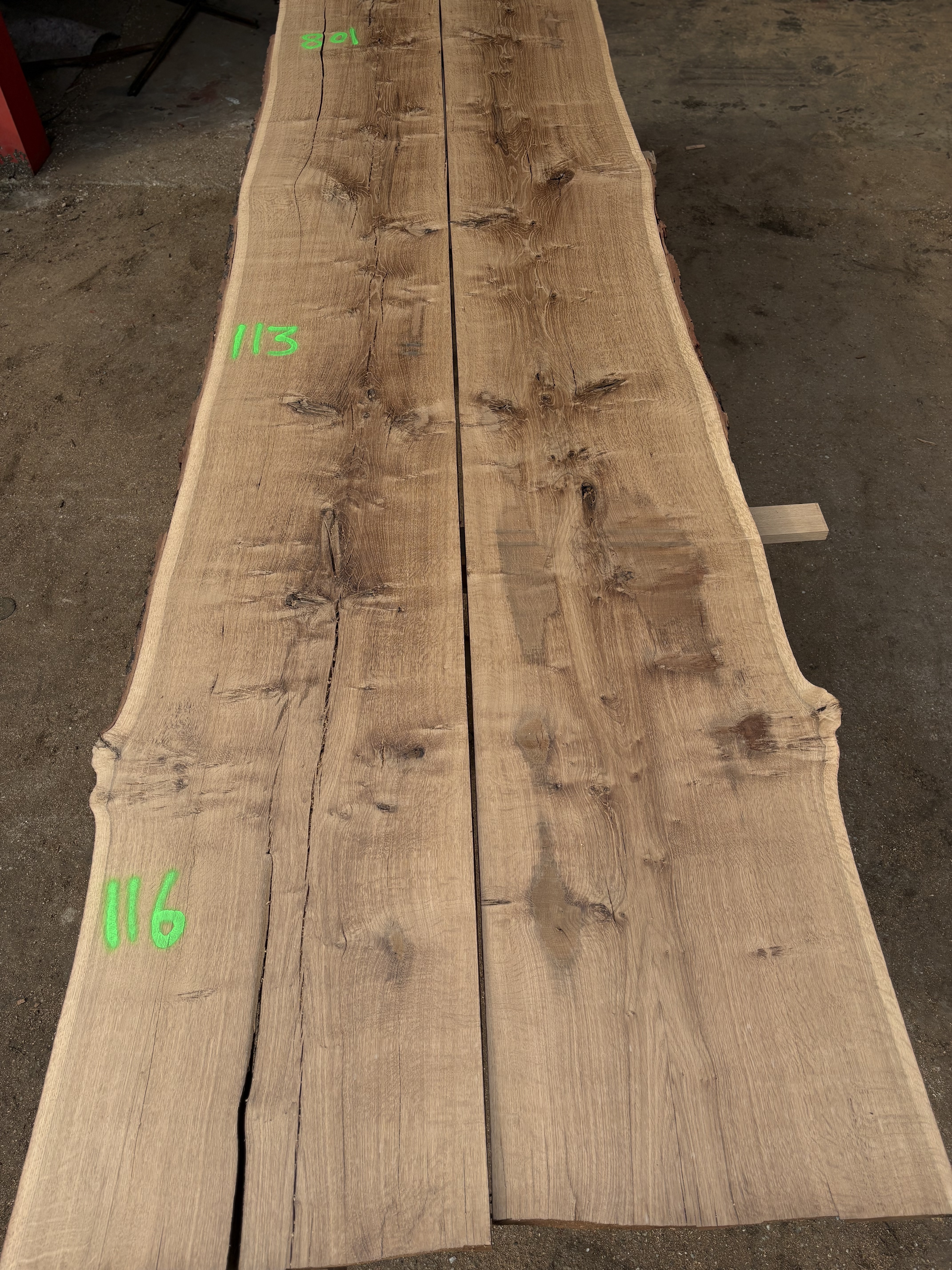 Oak - P3-1430