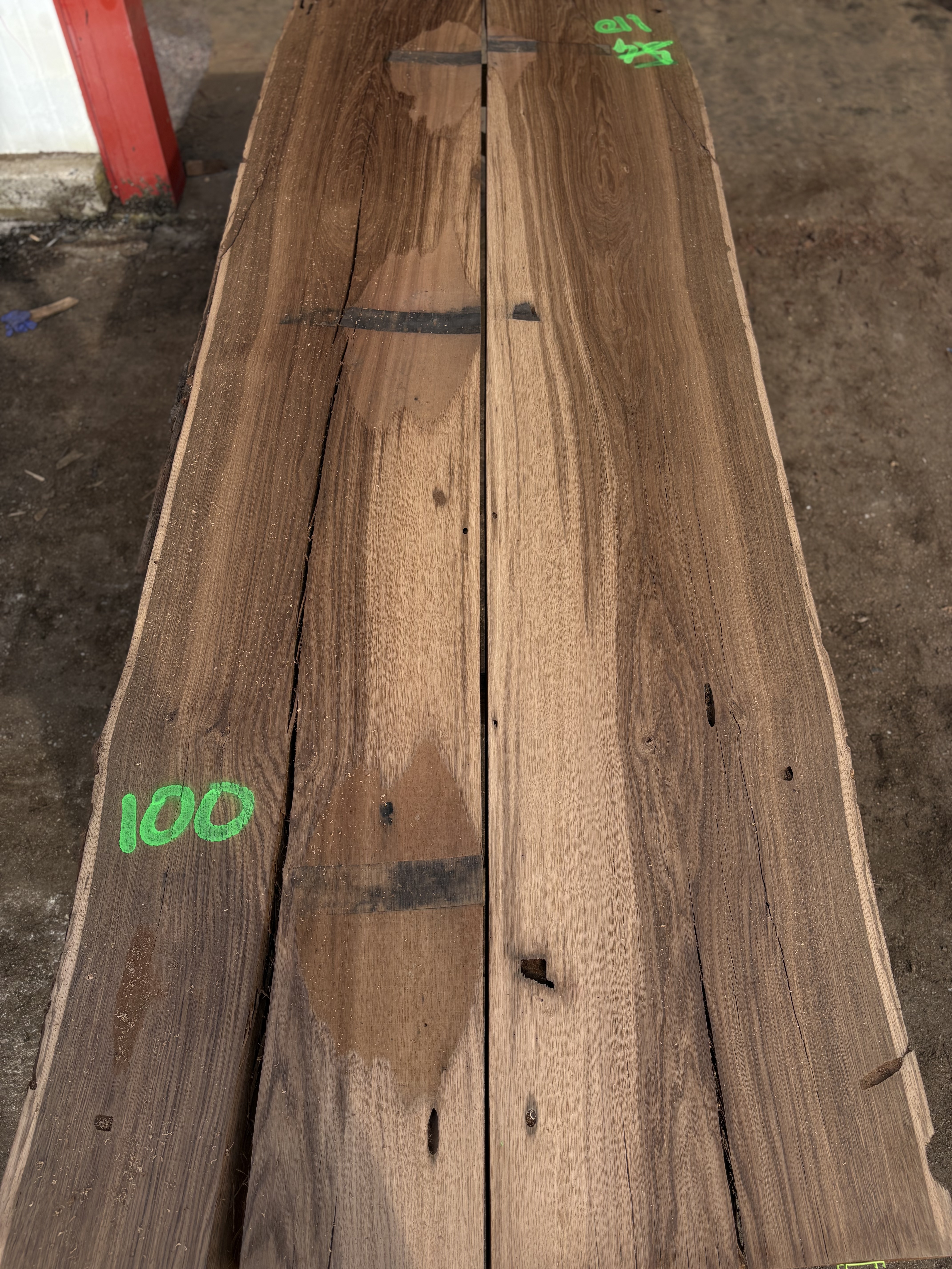 Oak - P2-1418