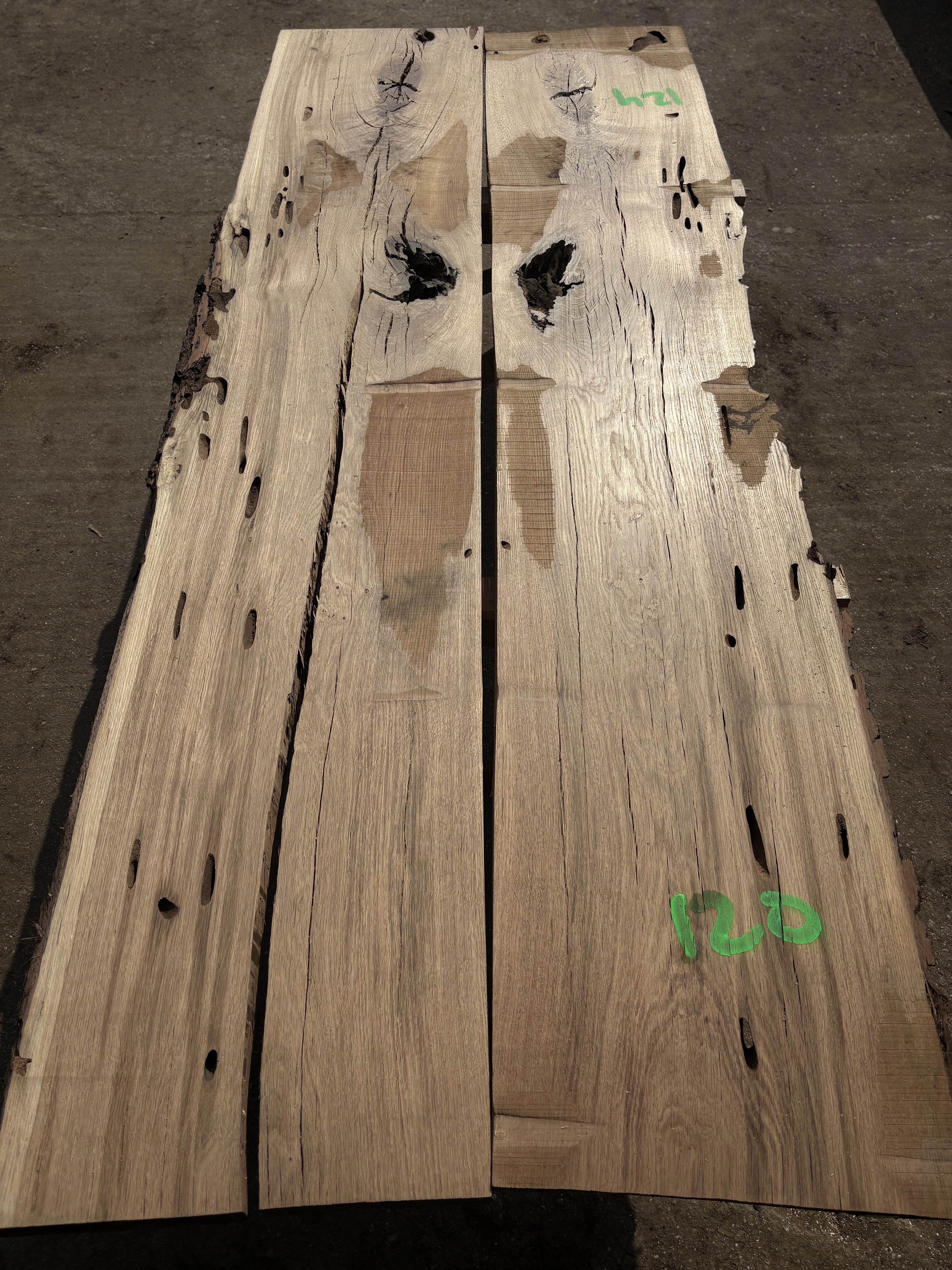 Oak - P2-1425
