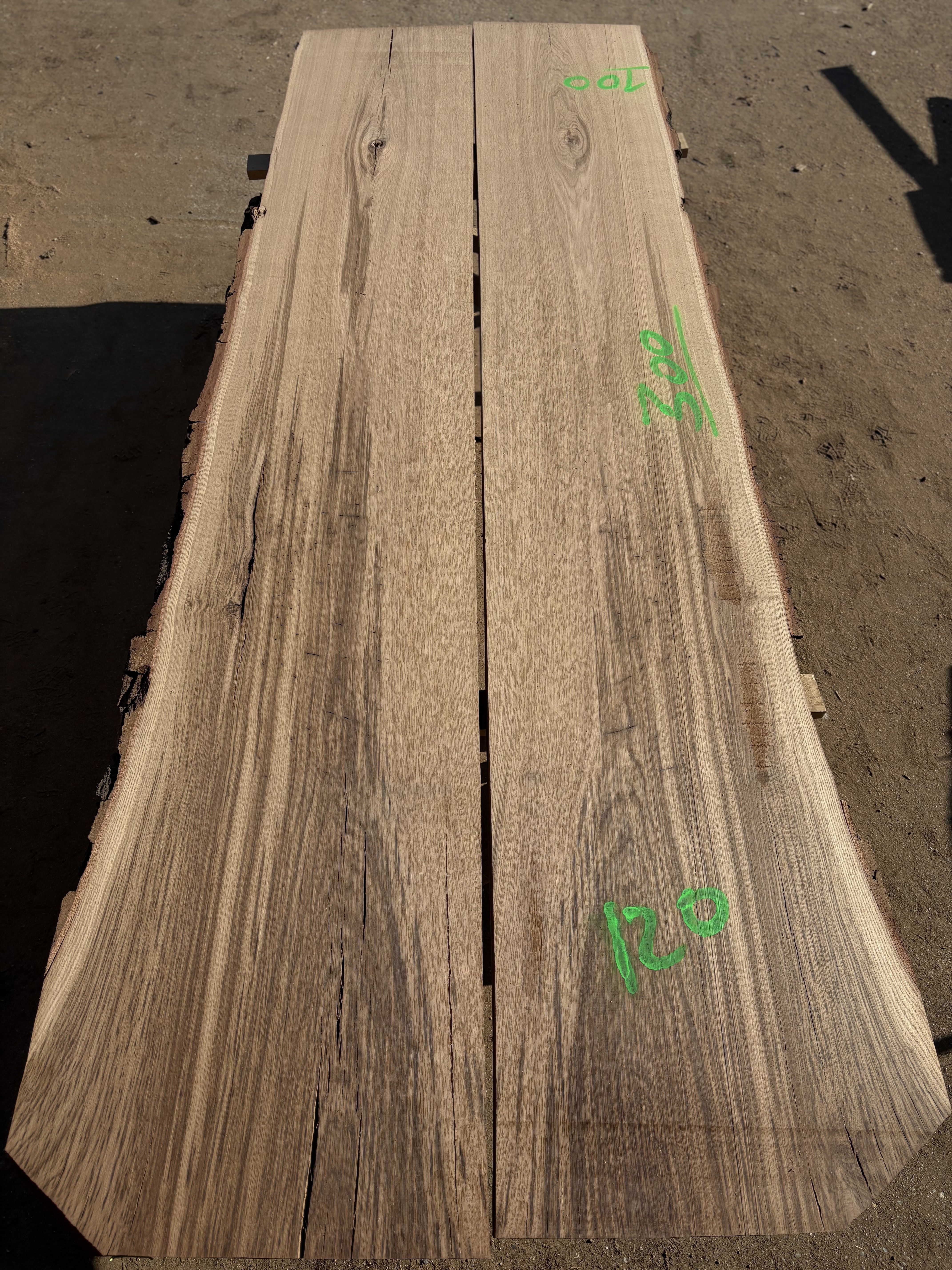 Oak - P12-1306