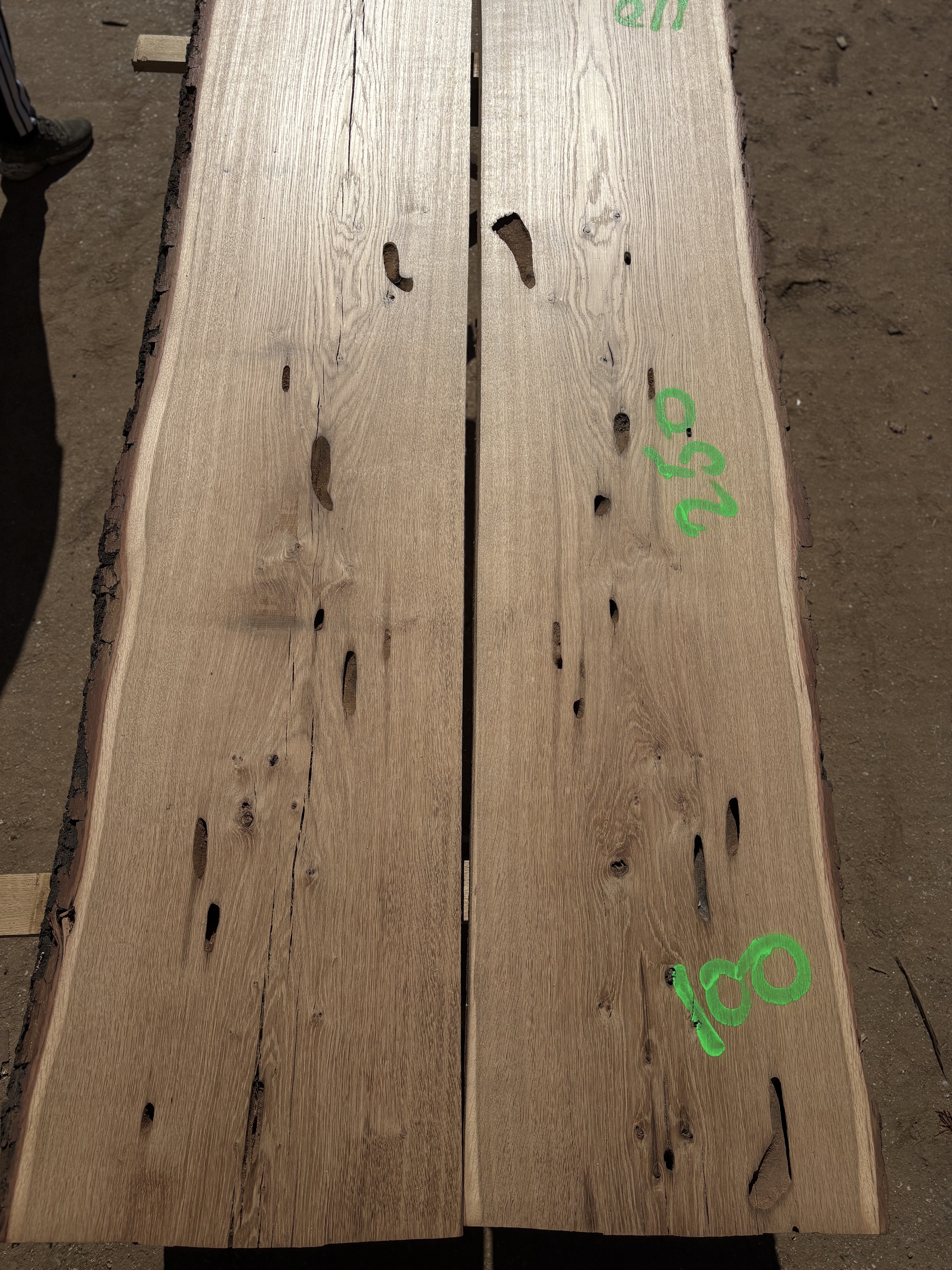 Oak - P13-1316