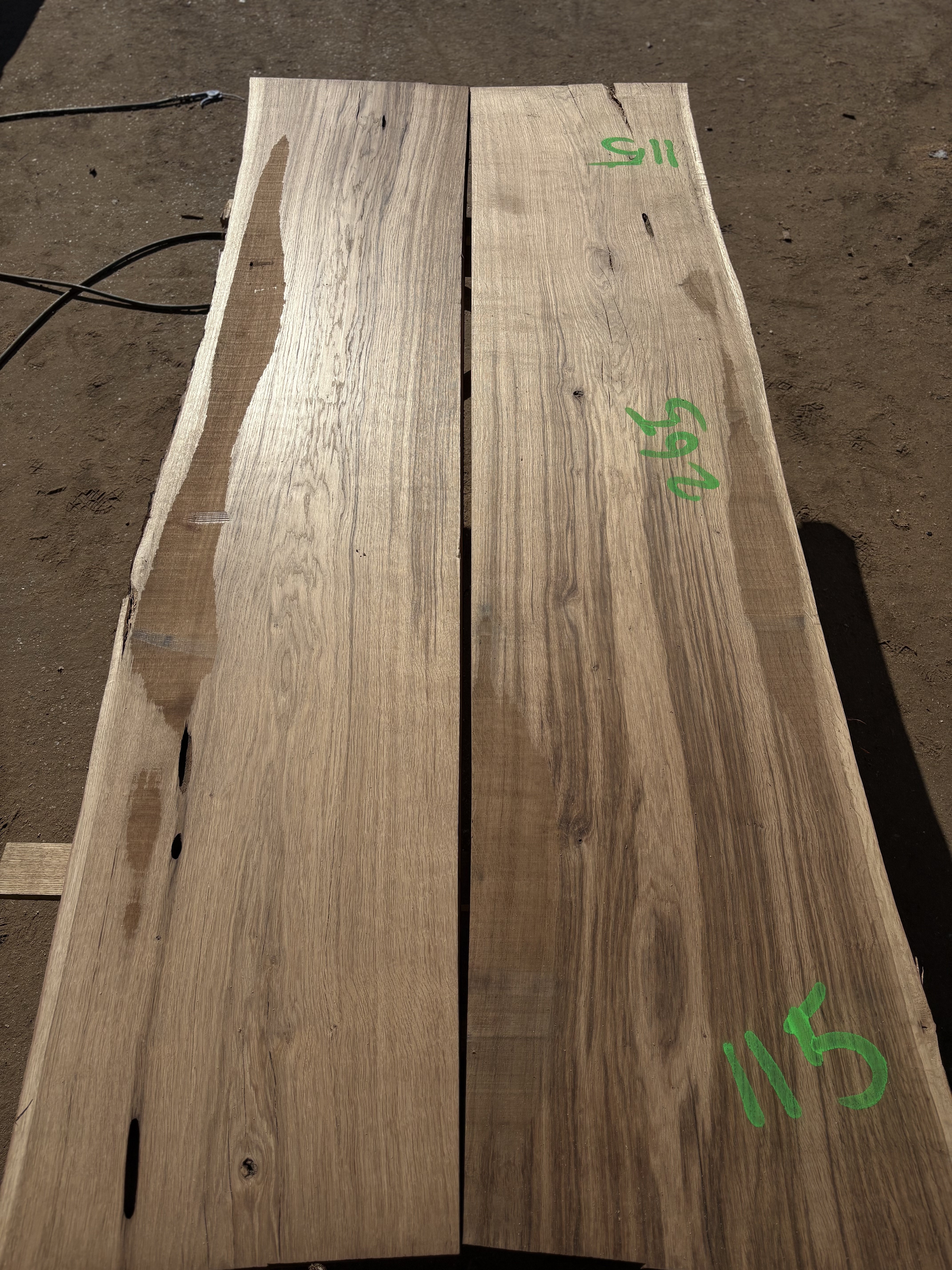 Oak - P13-1313