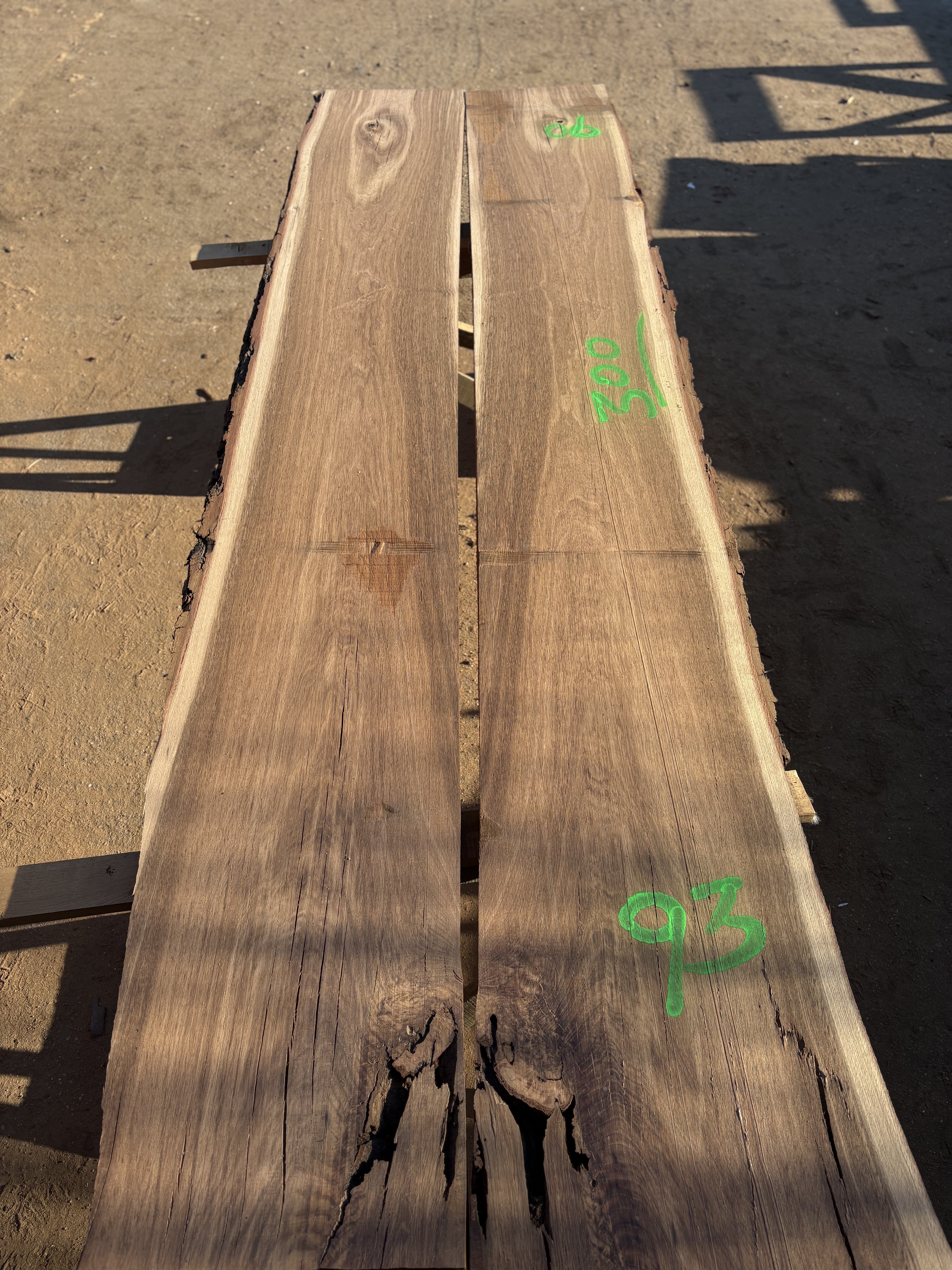 Oak - P12-1309