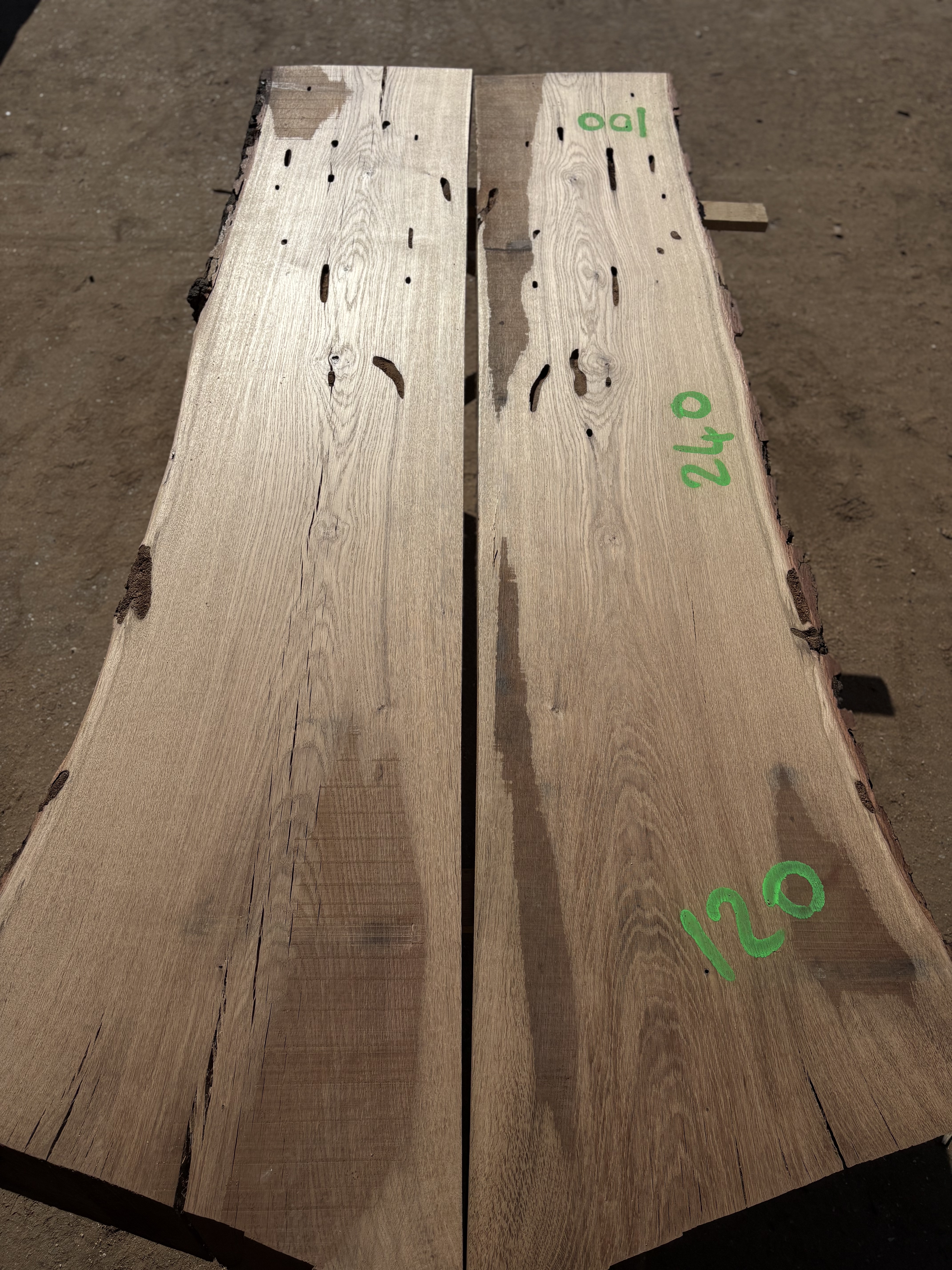 Oak - P13-1315