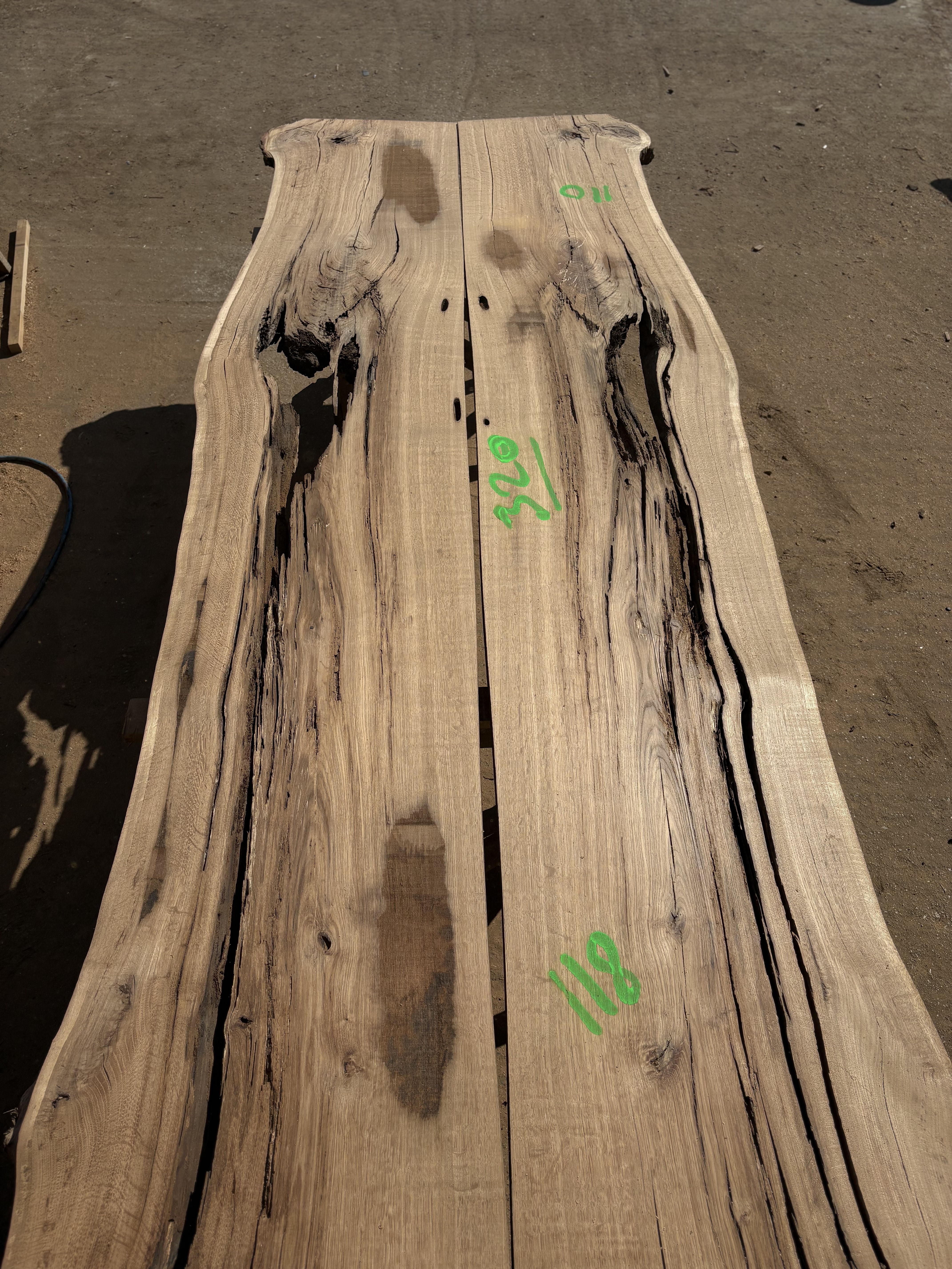 Oak - P11-1299