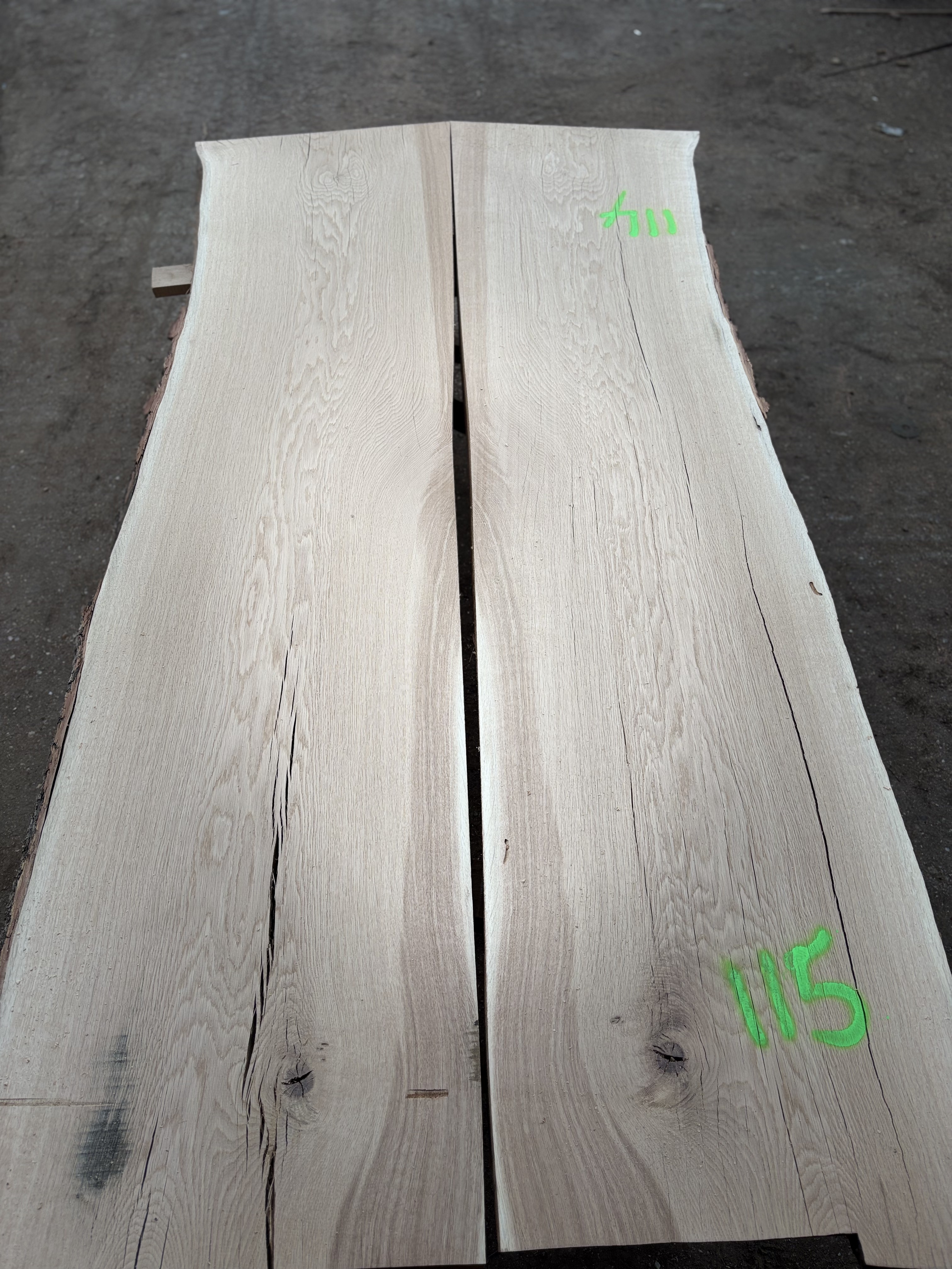 Oak - P4-1438