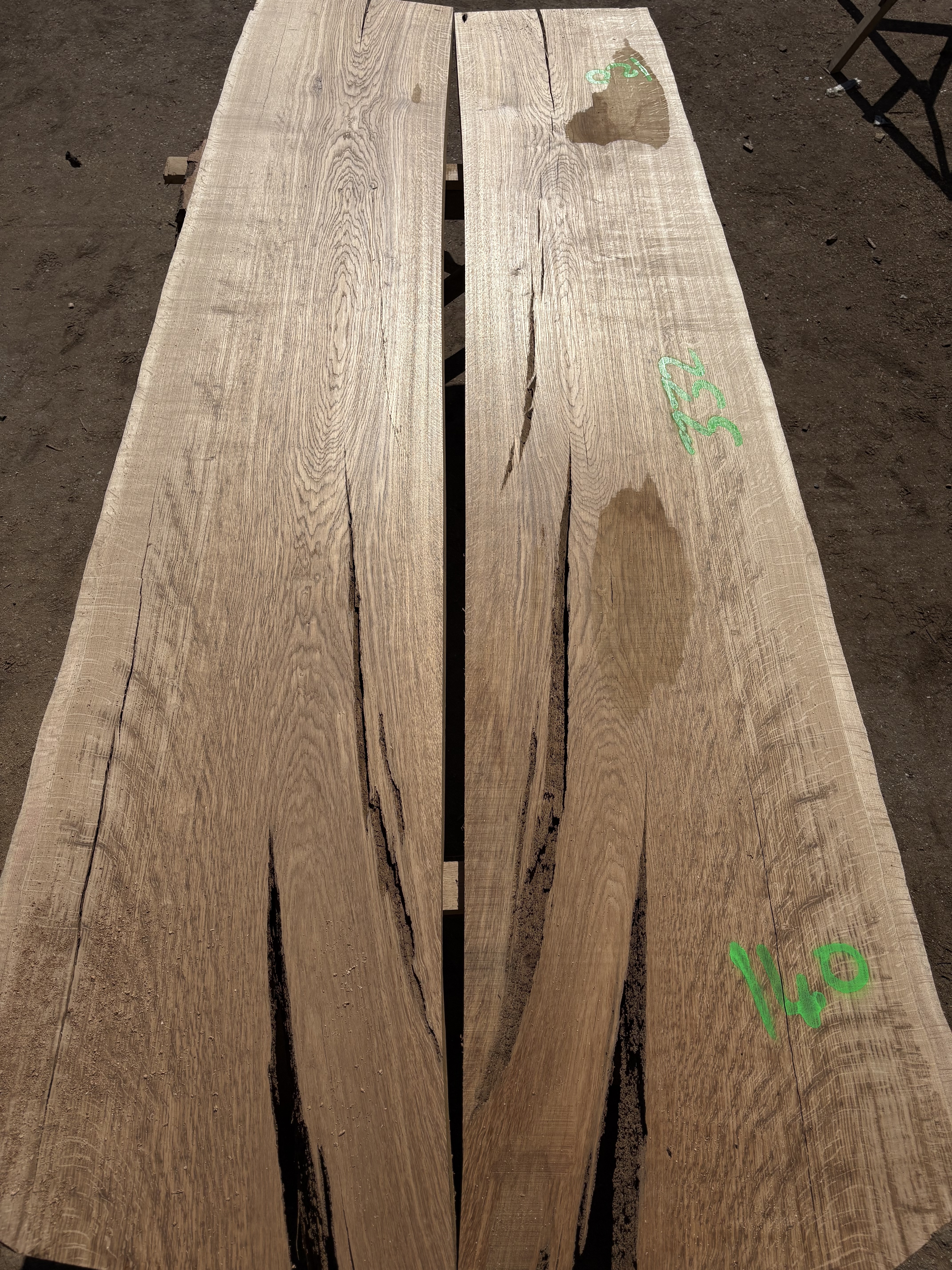 Oak - P10-1287