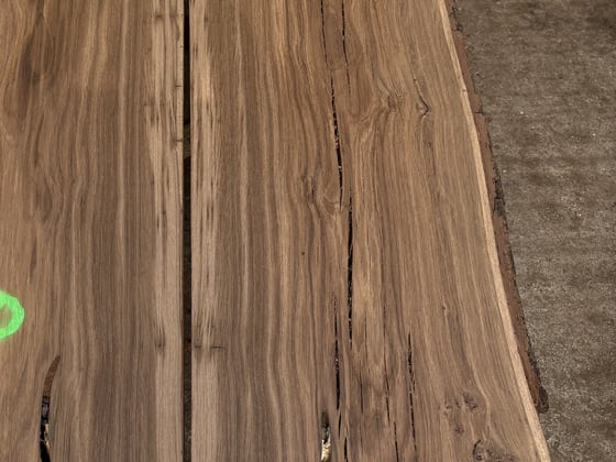 Oak - P2-1420
