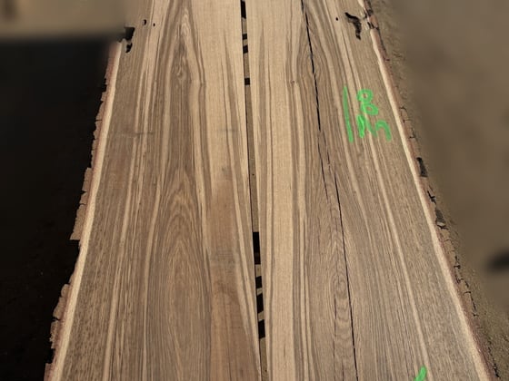 Oak - P12-1304