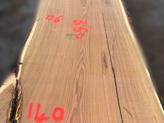 Oak - P8-1925