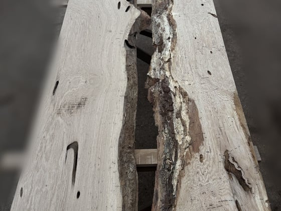 Oak - P4-1432